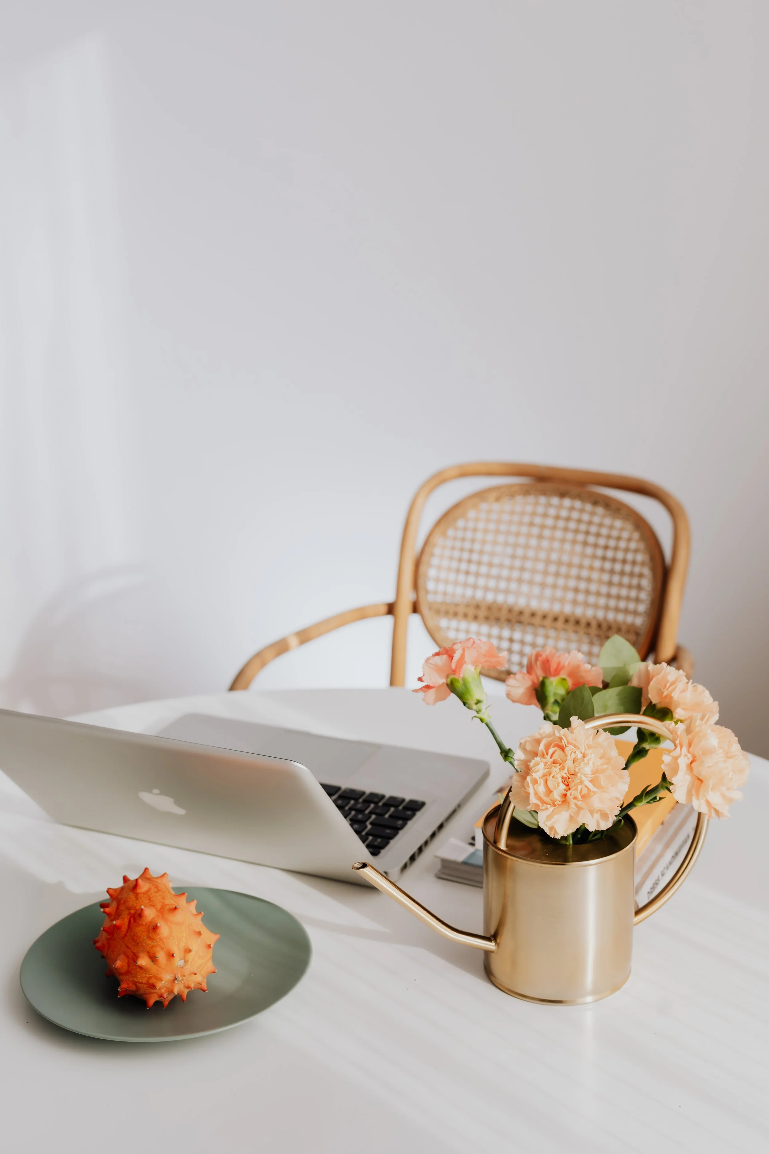 kaboompics_macbook-laptop-orange-dianthus-carnation-or-clove-pink-flowers-on-desk-kiwano-fruit-13264.jpg