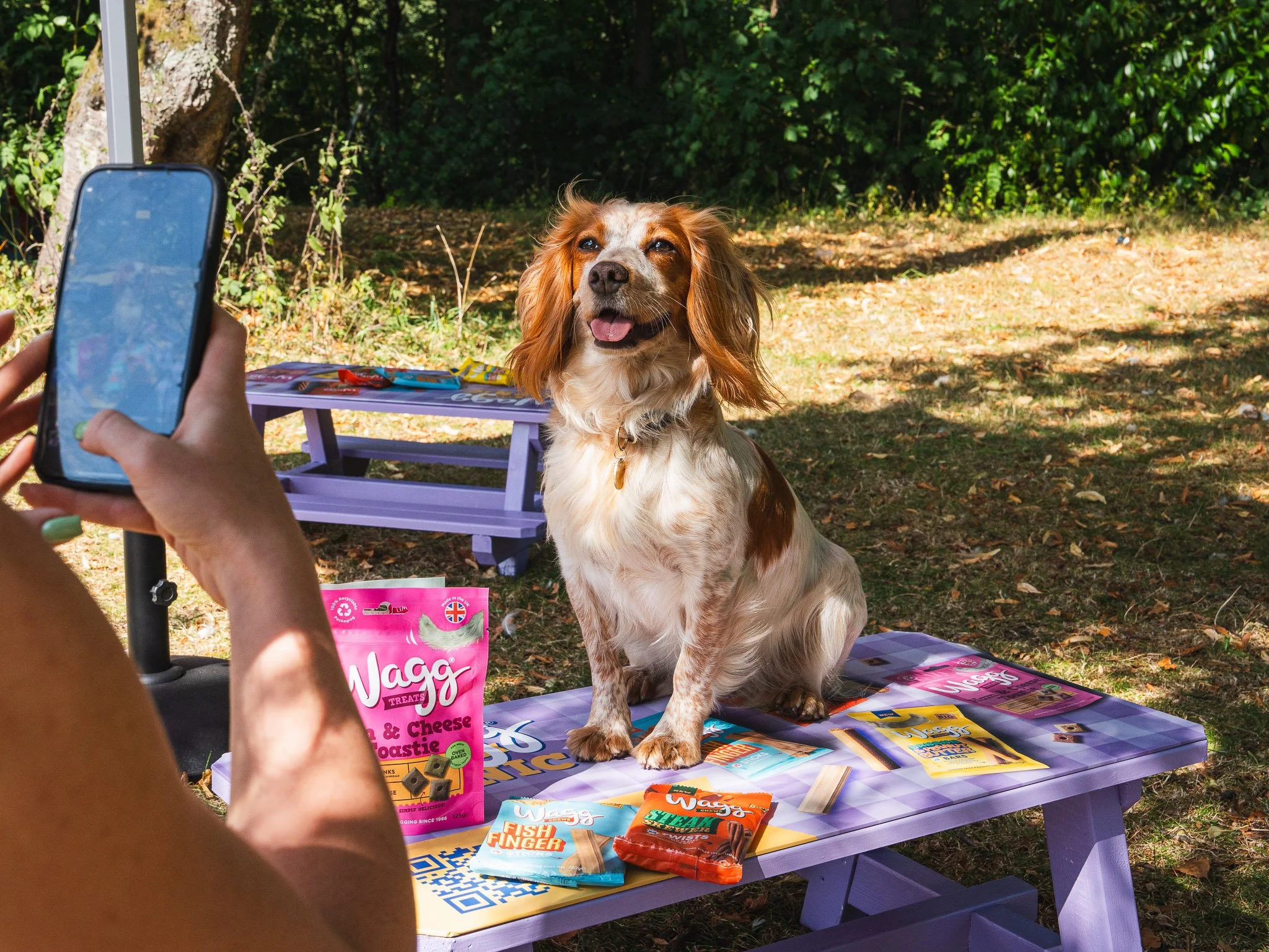 WAGG | Wagg Chews Pupnic