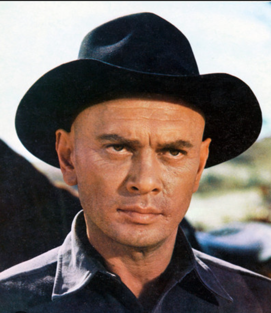 The Magnificent 7 …..