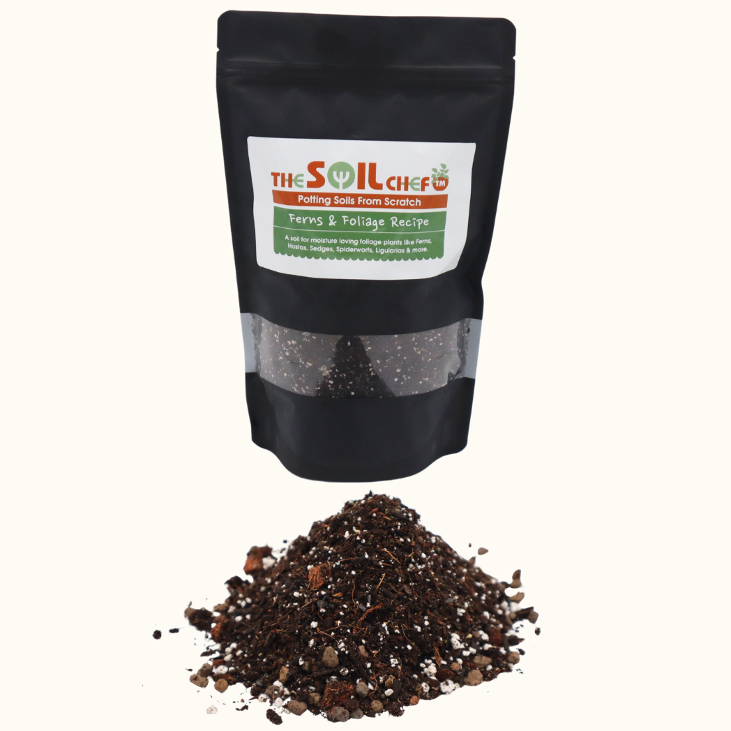 Ferns & Foliage Recipe Potting Soil