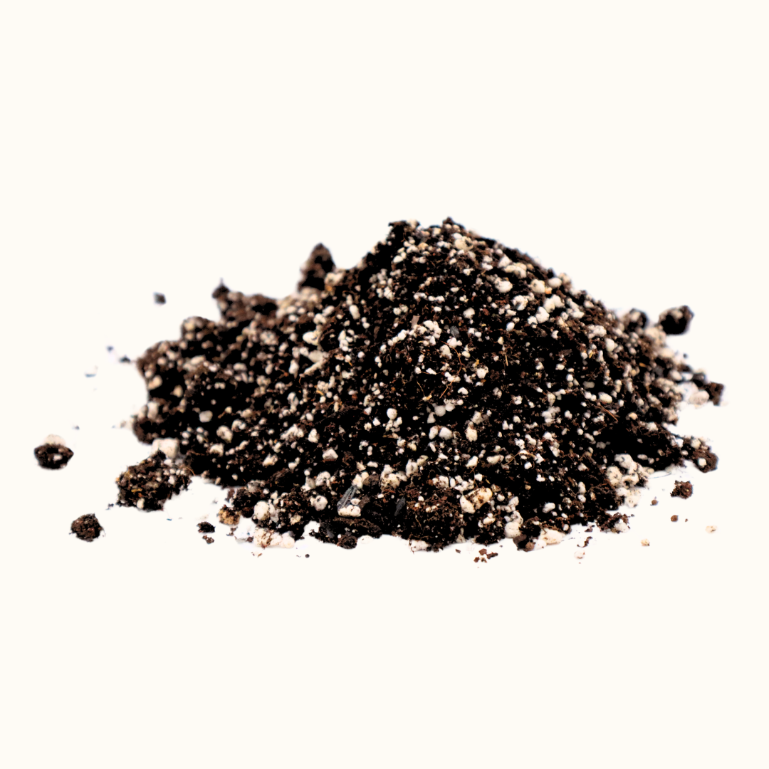 The Soil Chef Microgreens Medley Recipe Potting Soil Detail