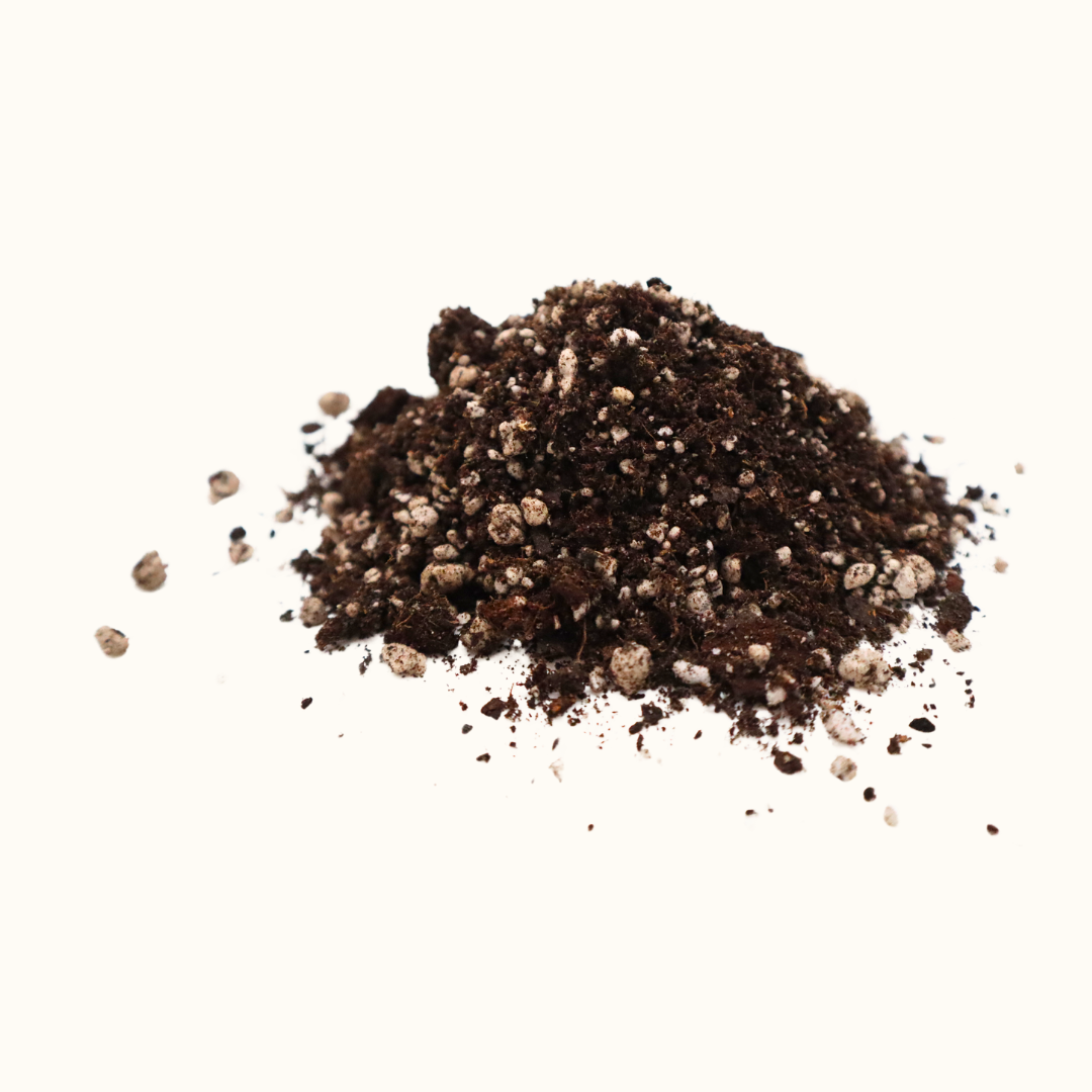 African Violet Recipe | The Soil Chef Potting Soil