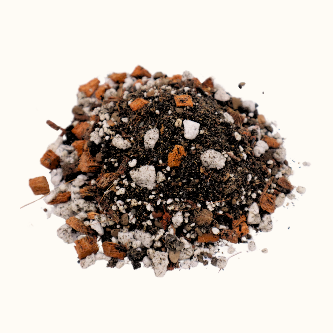 The Soil Chef Cactus Gritty Recipe Potting Soil Detail