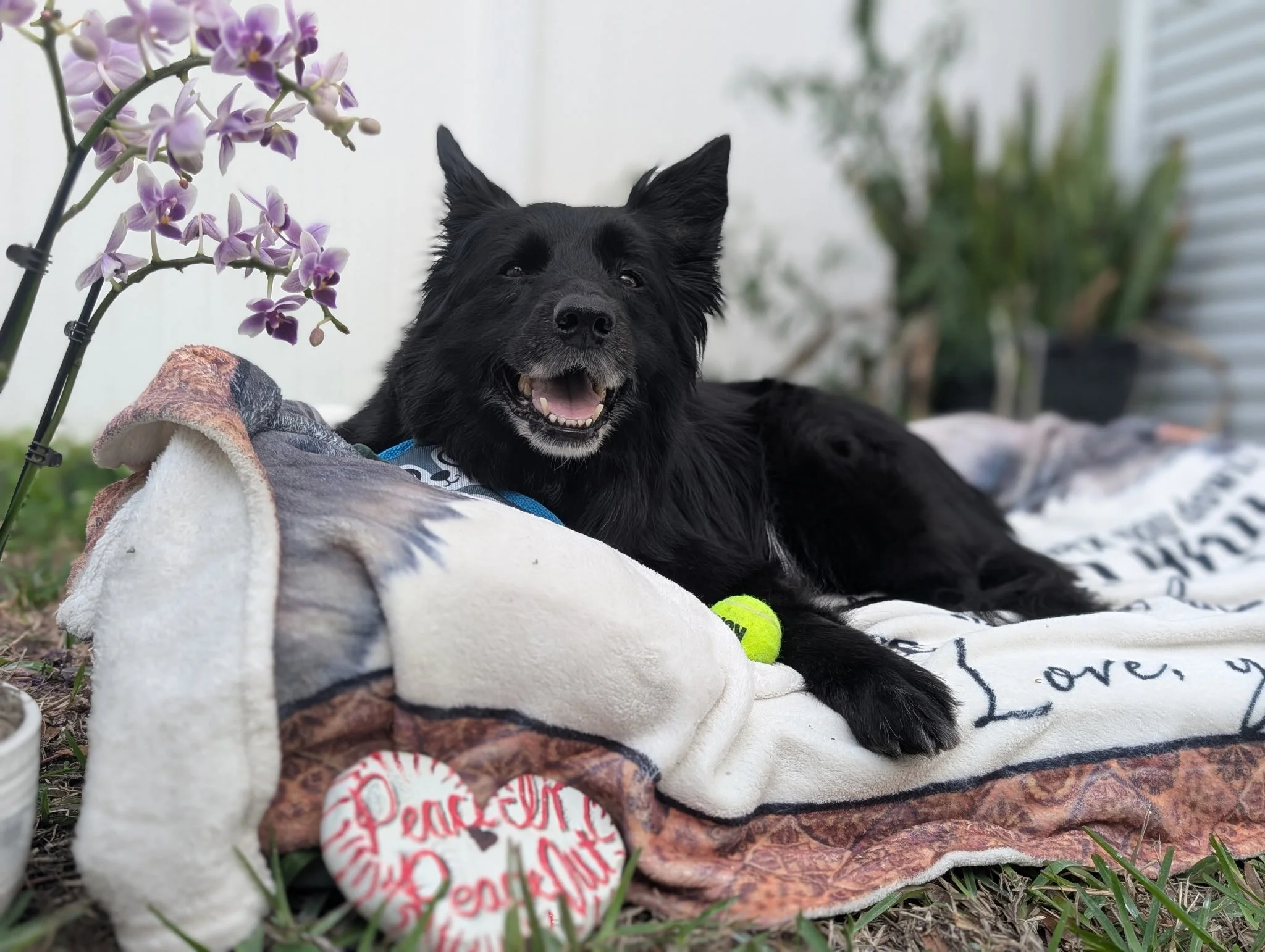 In Loving Memory of Mavis Mueller, Age: 11