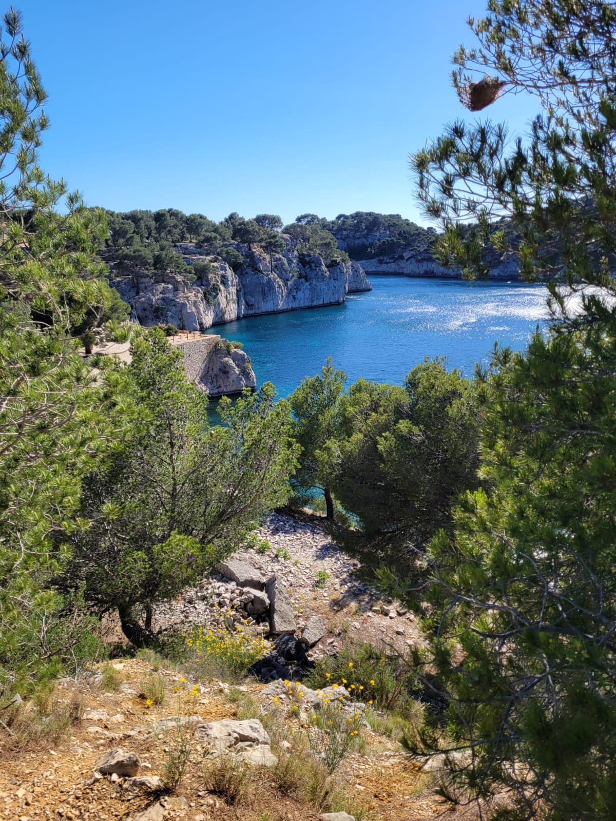 Calanques de Port-Miou (cassis)