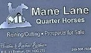 Mane+Lane+Quarter+Horses+%28Heather+%26+Rachael+Ruthven%29.jpg