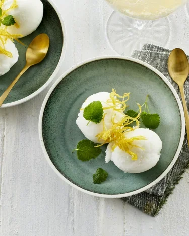 e sorbet - Copy.webp