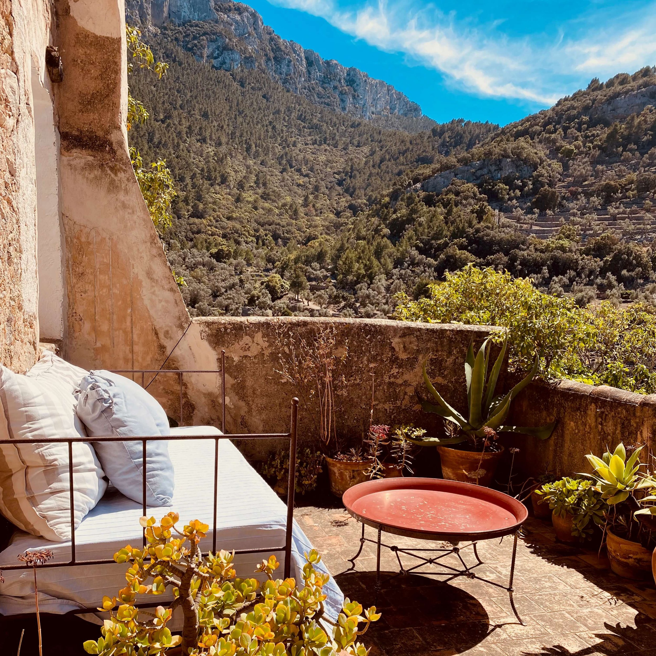 Terraza Top Room.jpeg