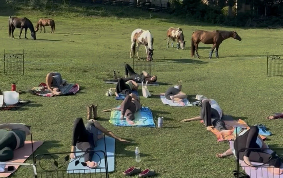 Mindful Movement at Mabry Farm Equestrian center