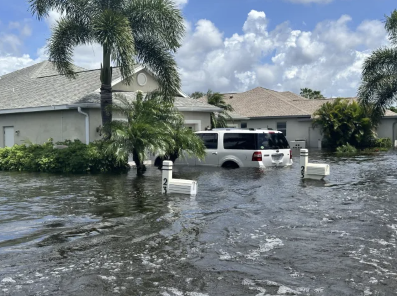 Screenshot 2024-11-14 at 2.37.35 PM.png