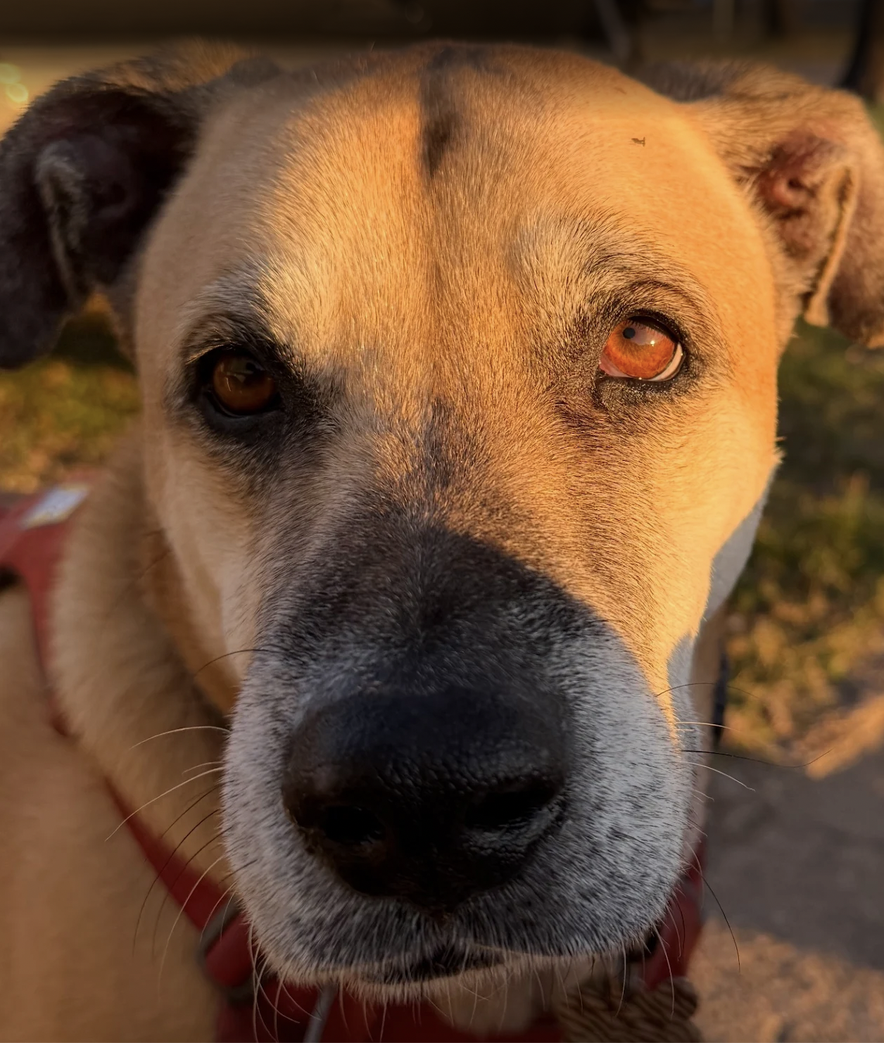 Screenshot 2025-07-23 at 12.18.09 PM.png