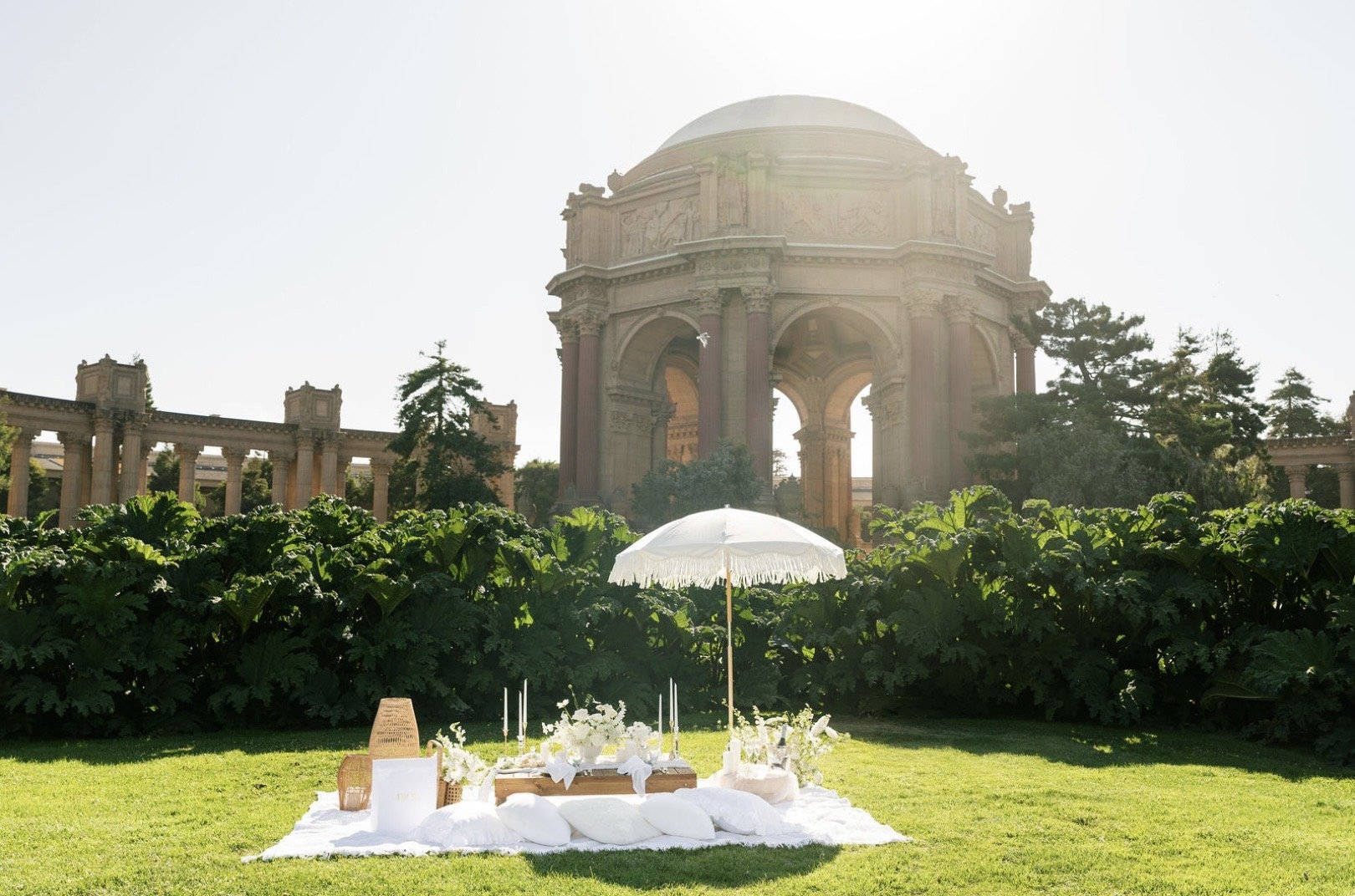 Gender reveal picnic.jpg