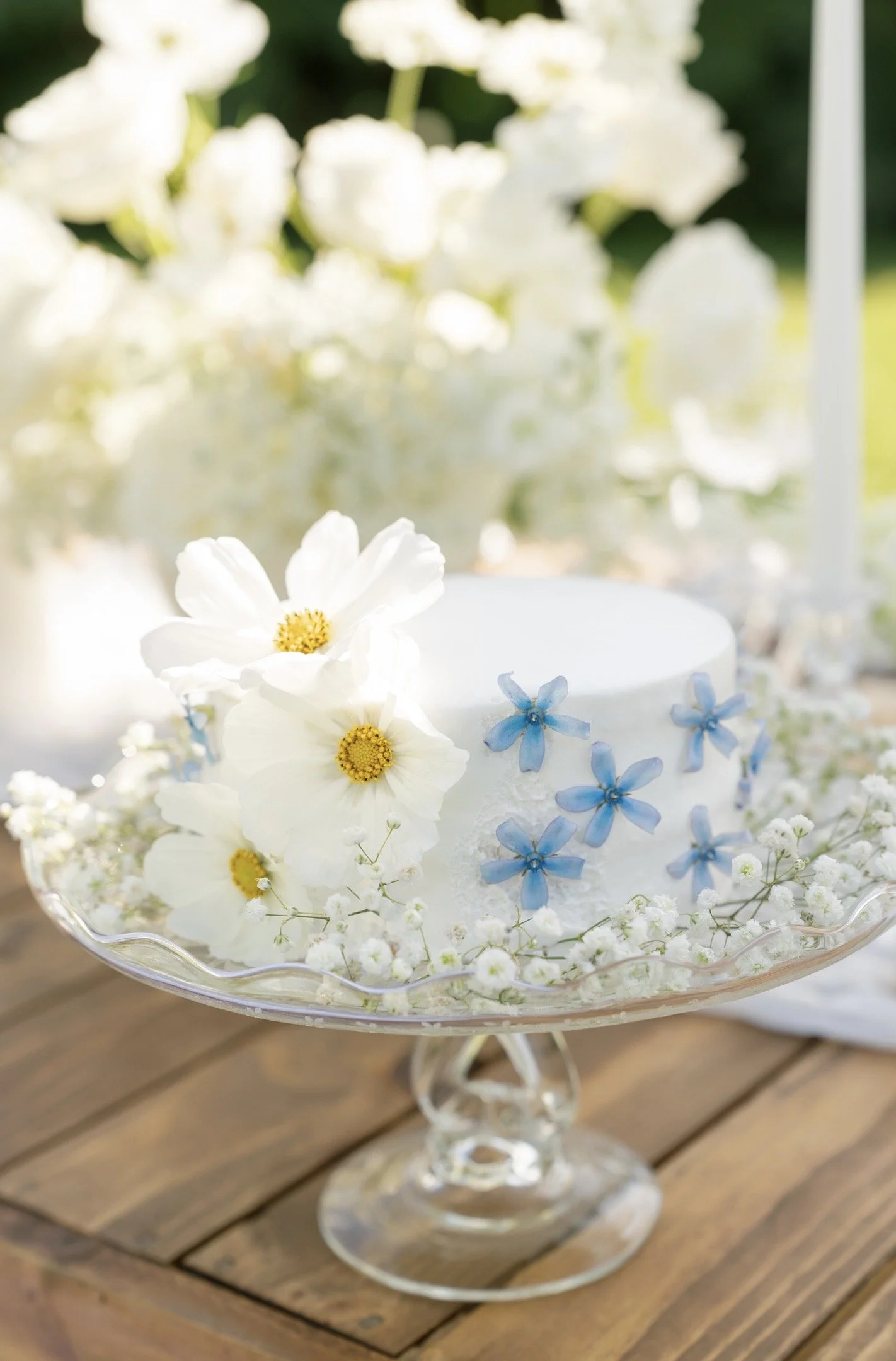 Elopement picnic in San Francisco. Luxury Picnic