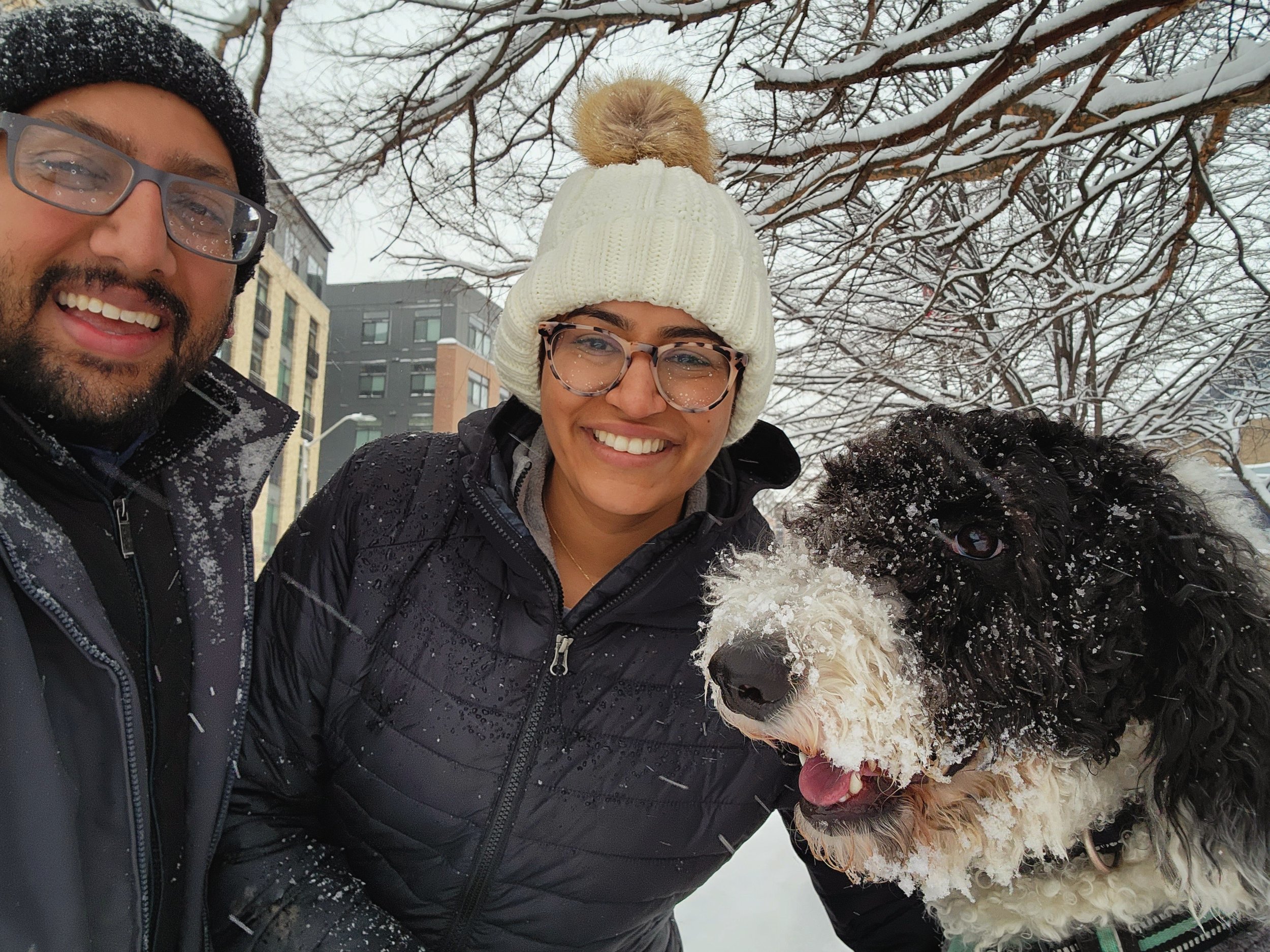 Eddy's First Snow 2023