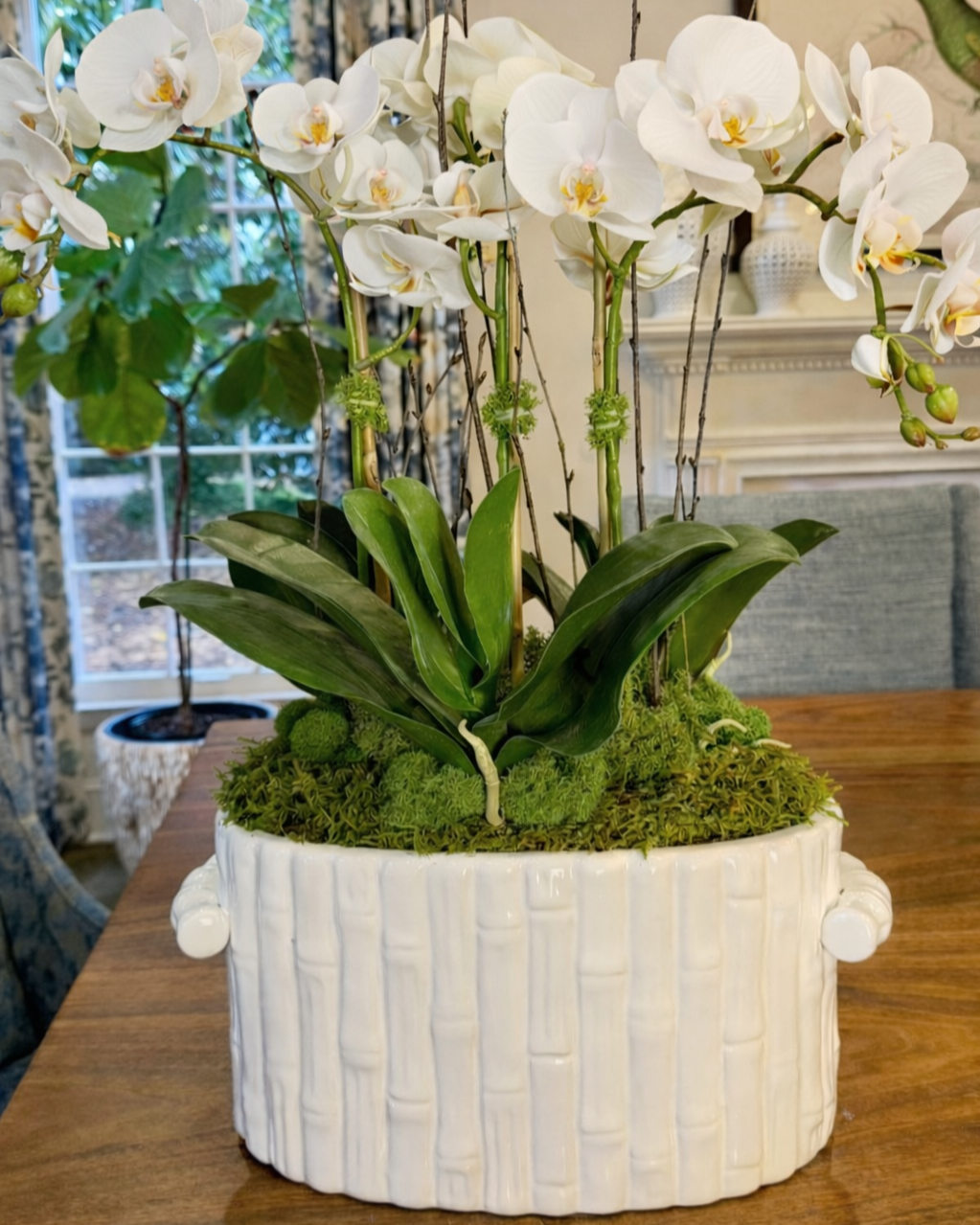 faux orchid charlotte