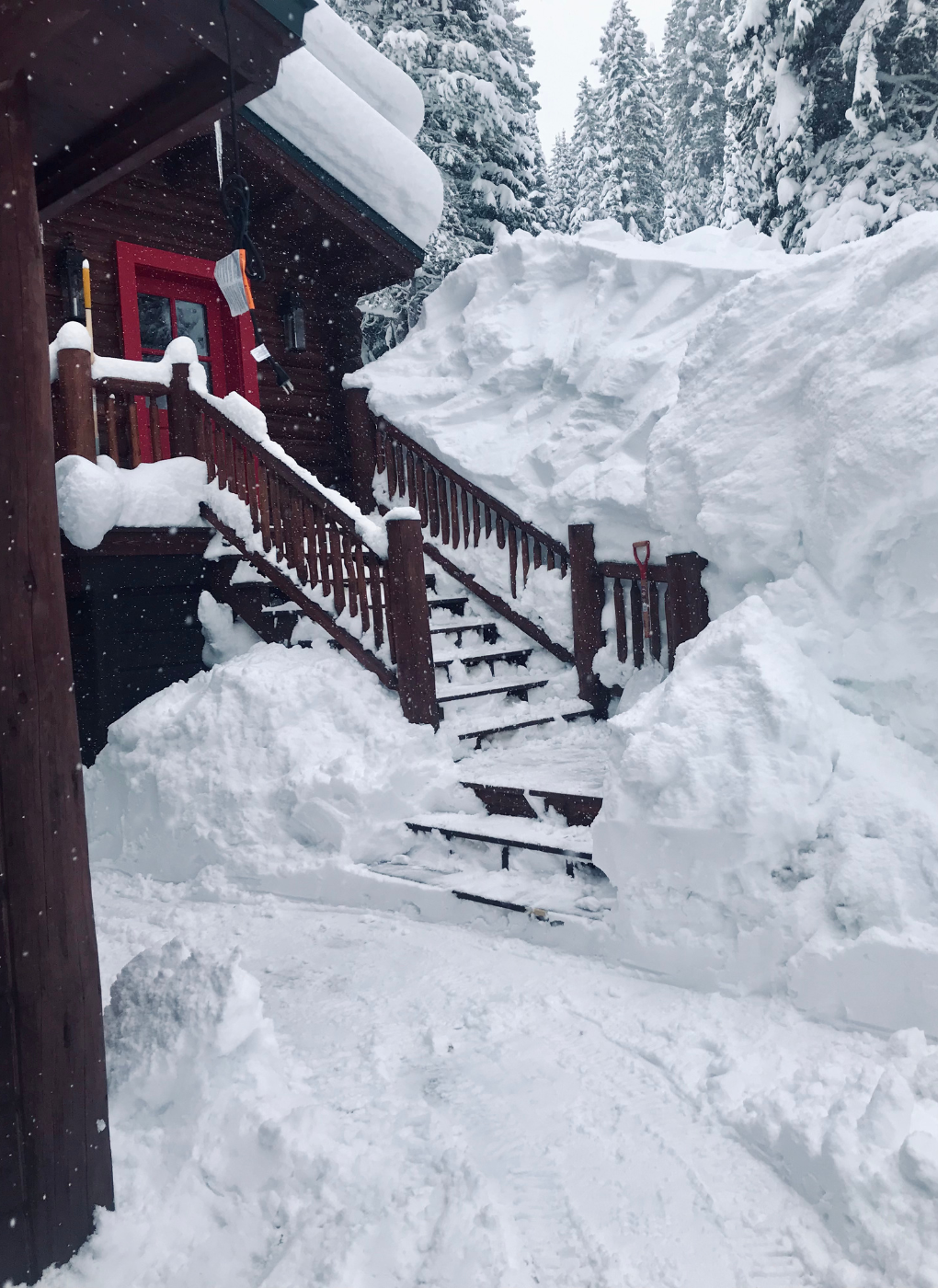 9Landscaping wyoming snow yard ice.png