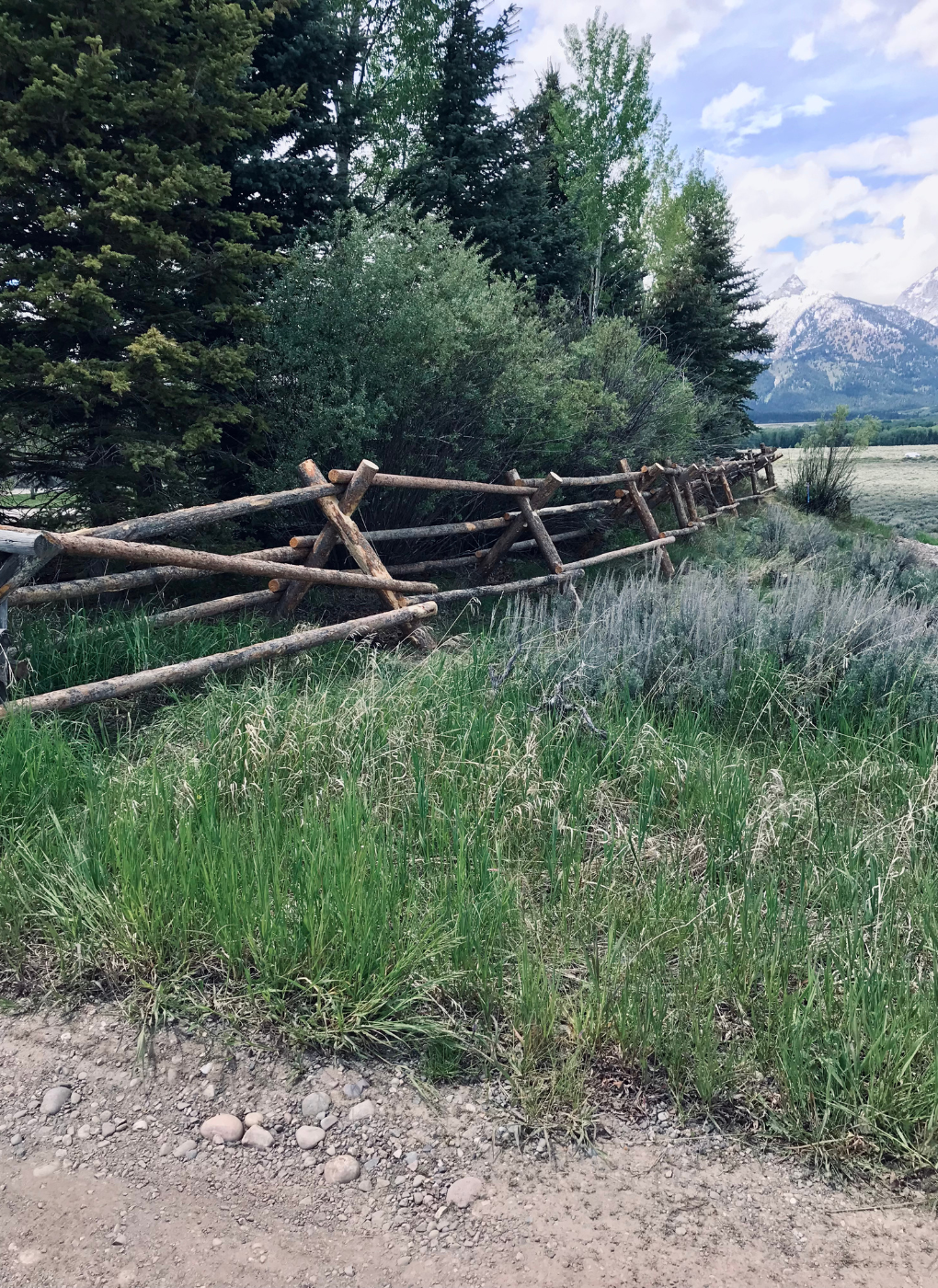 14Landscaping wyoming snow yard ice.png