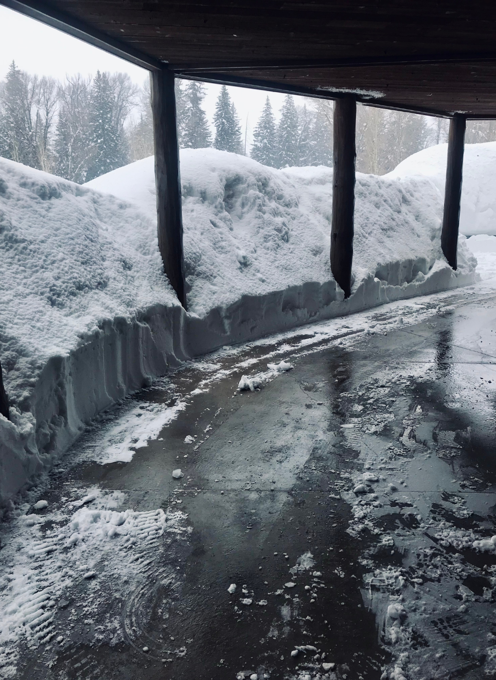 10Landscaping wyoming snow yard ice.png