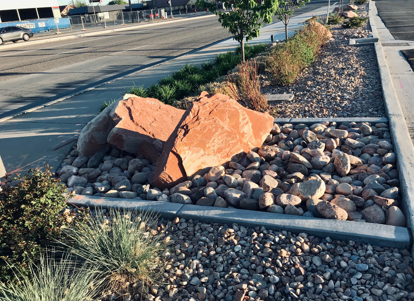 rock sidewalk boulder tree.png