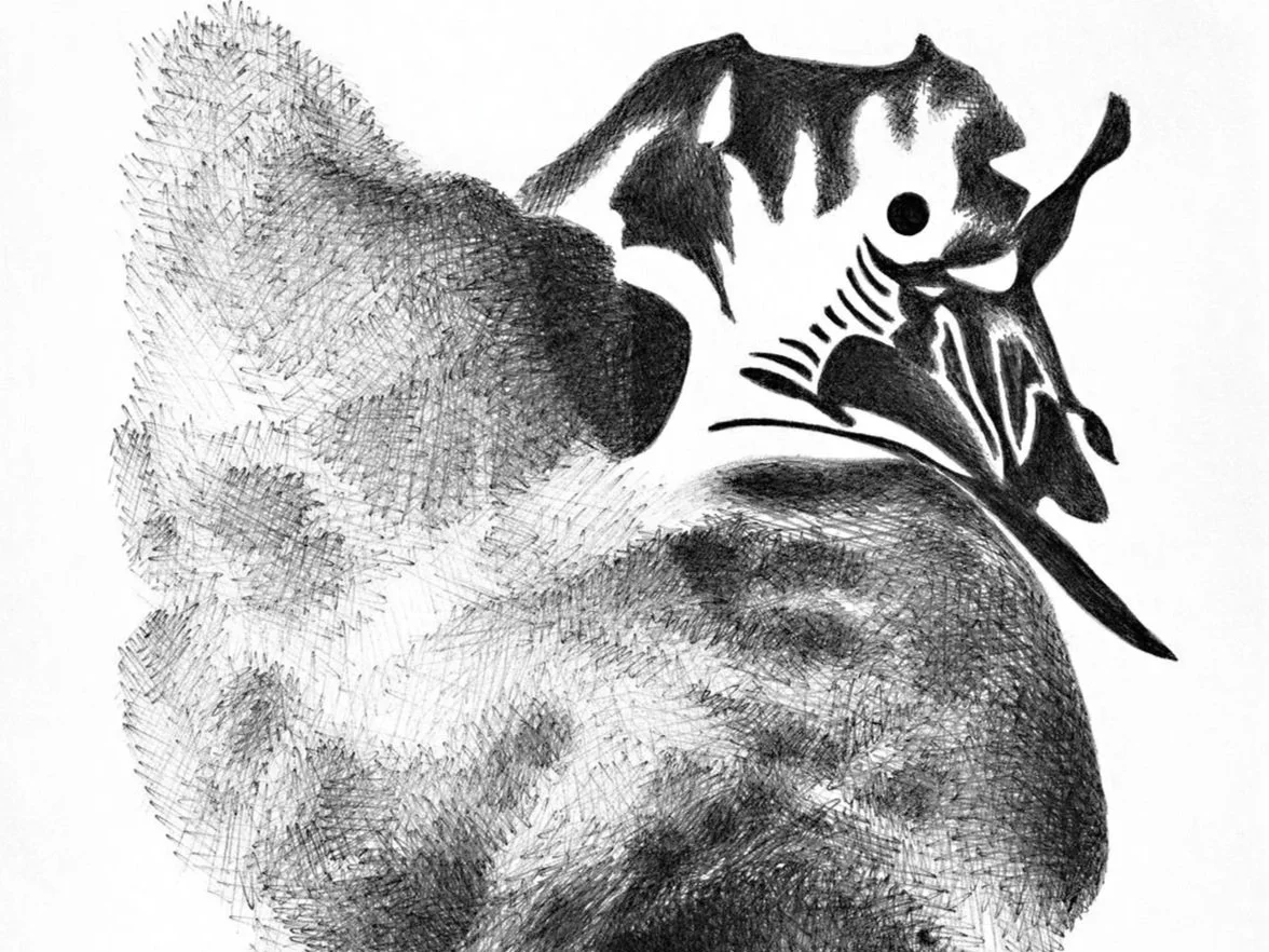 Allowing Everything to Dissolve - By Justin Steimer