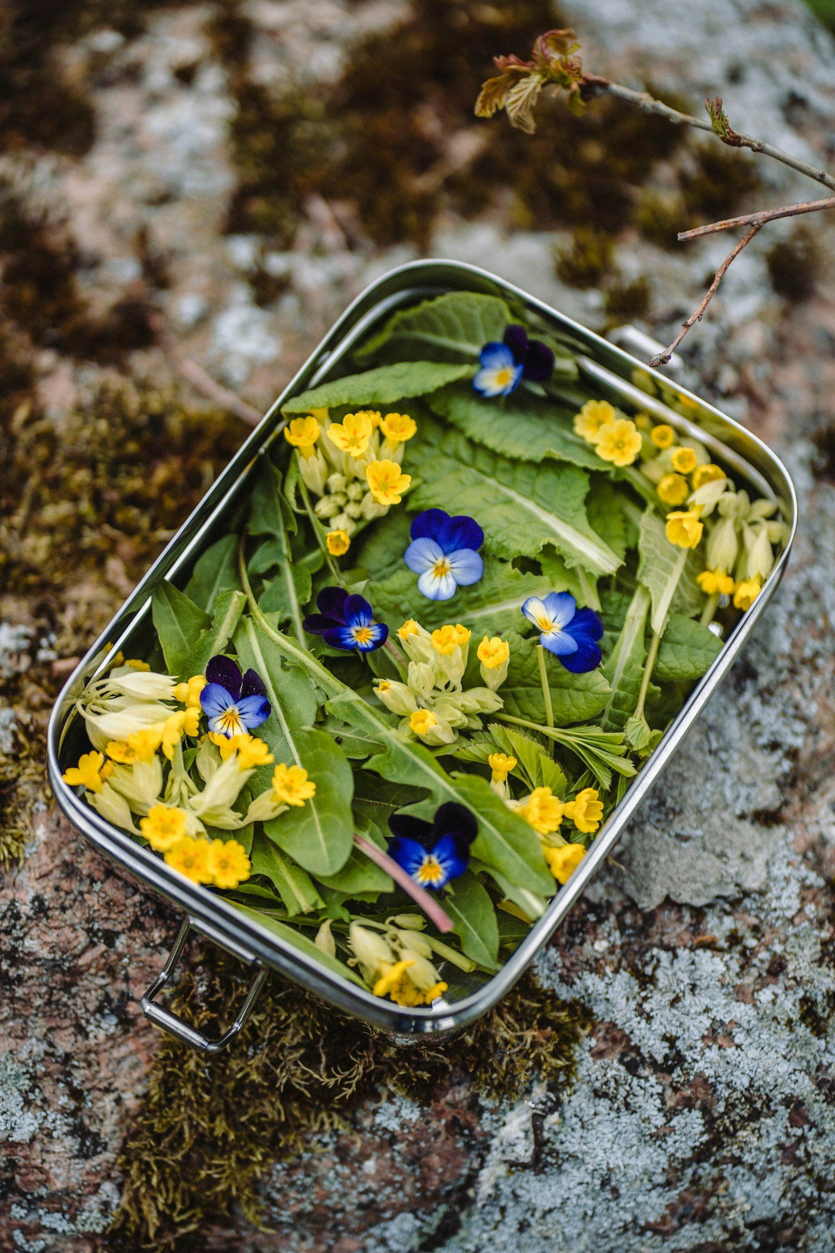 Smash Flowers