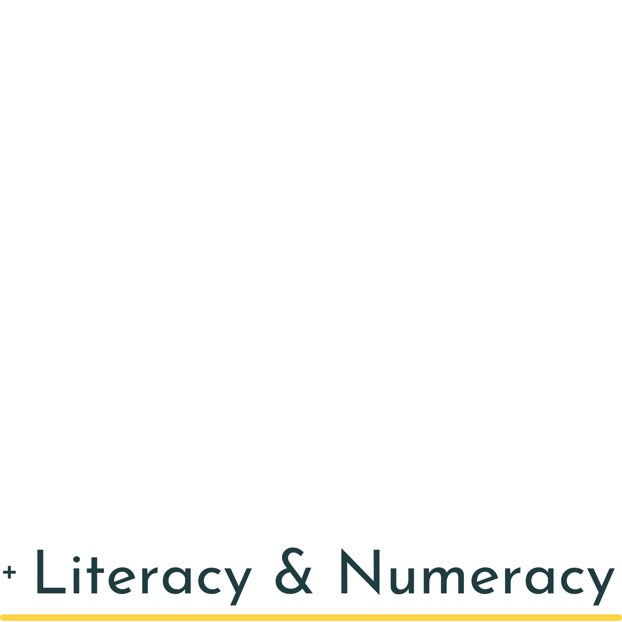 subcat_literacy_numeracy.png