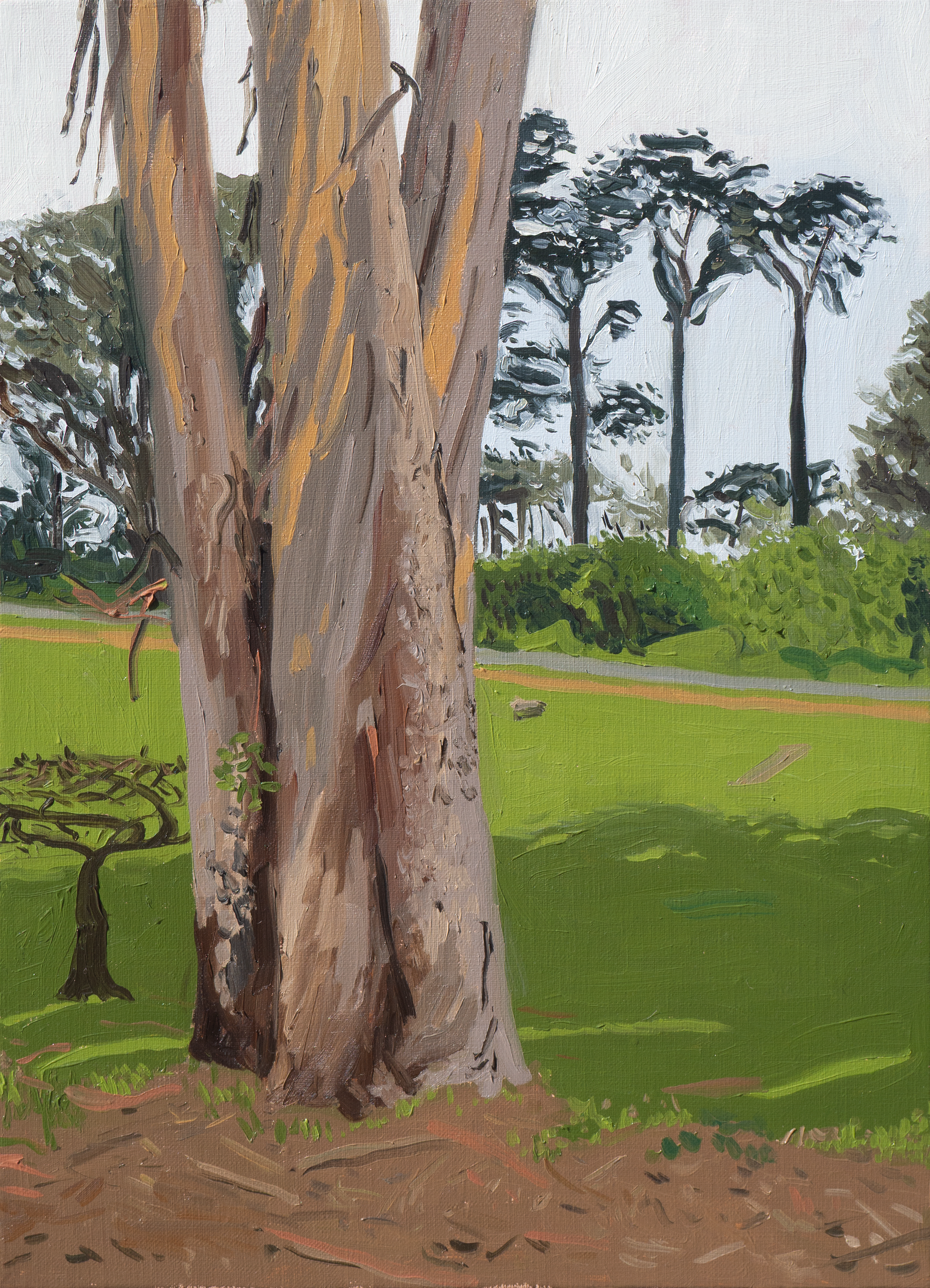 Golden Gate Park, 2026