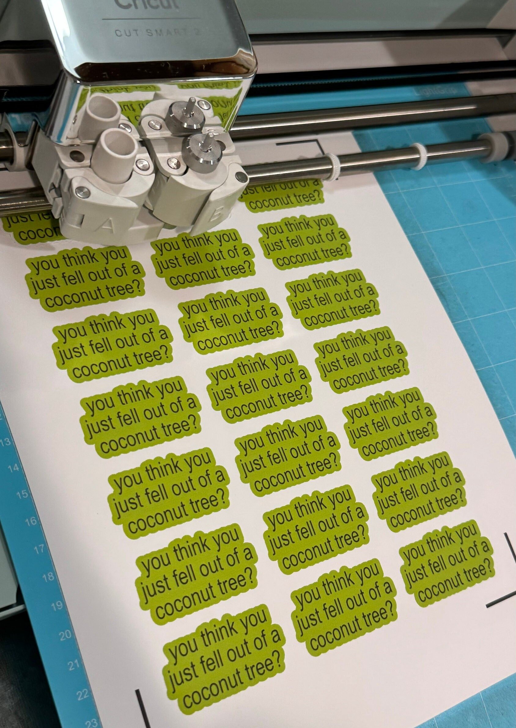 https://i.etsystatic.com/49128391/r/il/8db88e/6169846770/il_fullxfull.6169846770_9zh5.jpg