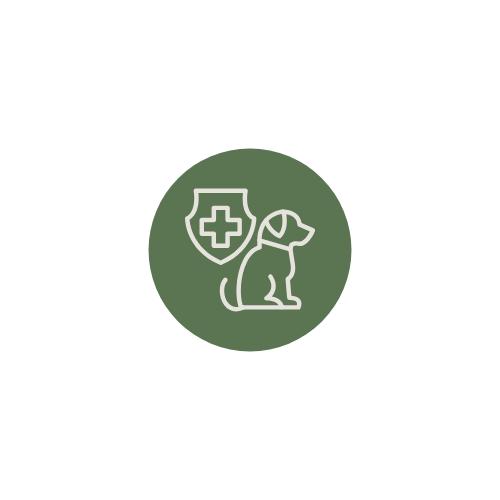 Line drawing of a dog with a medical shield and cross icon behind it on a green circular background.