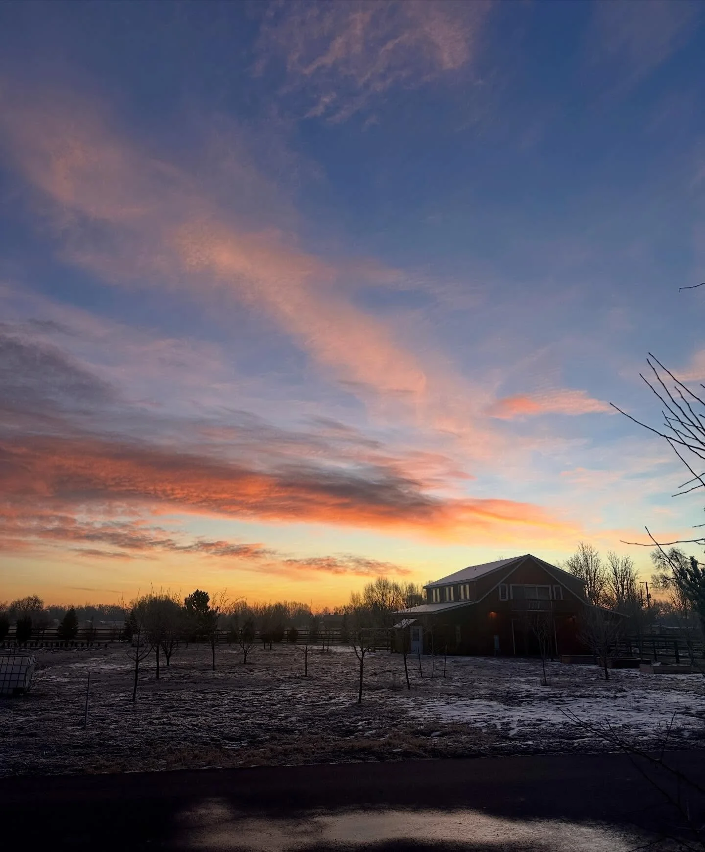 Morning glory on the farm as of late ✨

Winter has finally arrived.

#Cutflowerfarm #locallygrown #flowerfarm #floraldesign supportlocalfoco flowerpower bloomlocal farmtoflorist coflower freshflowers nocoflowercommunity @eibba roughcutflowerco @found