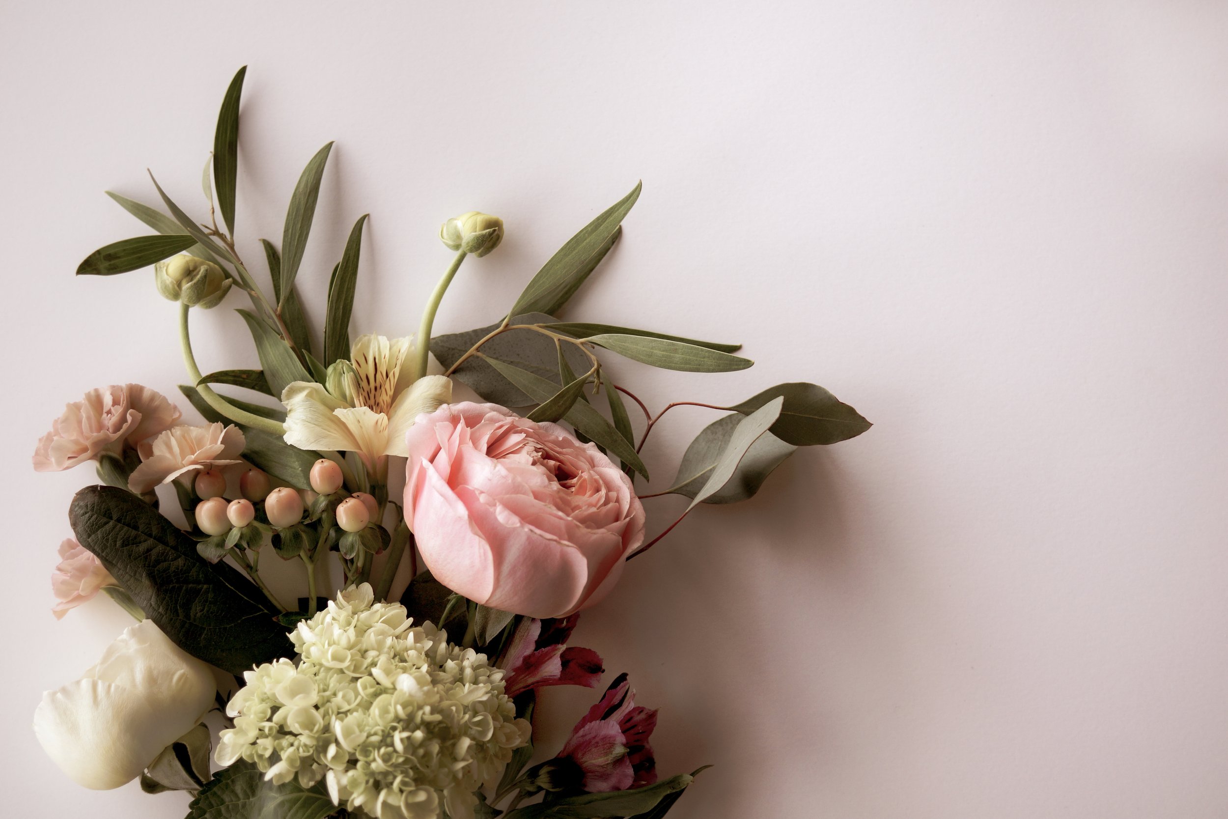 AdobeStock_284587275.jpeg