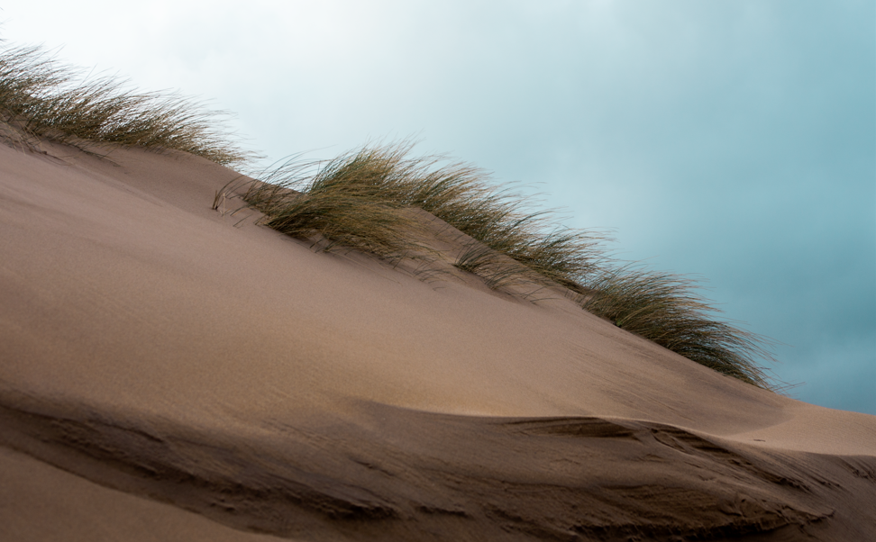 Screenshot 2025-05-01 225545.png