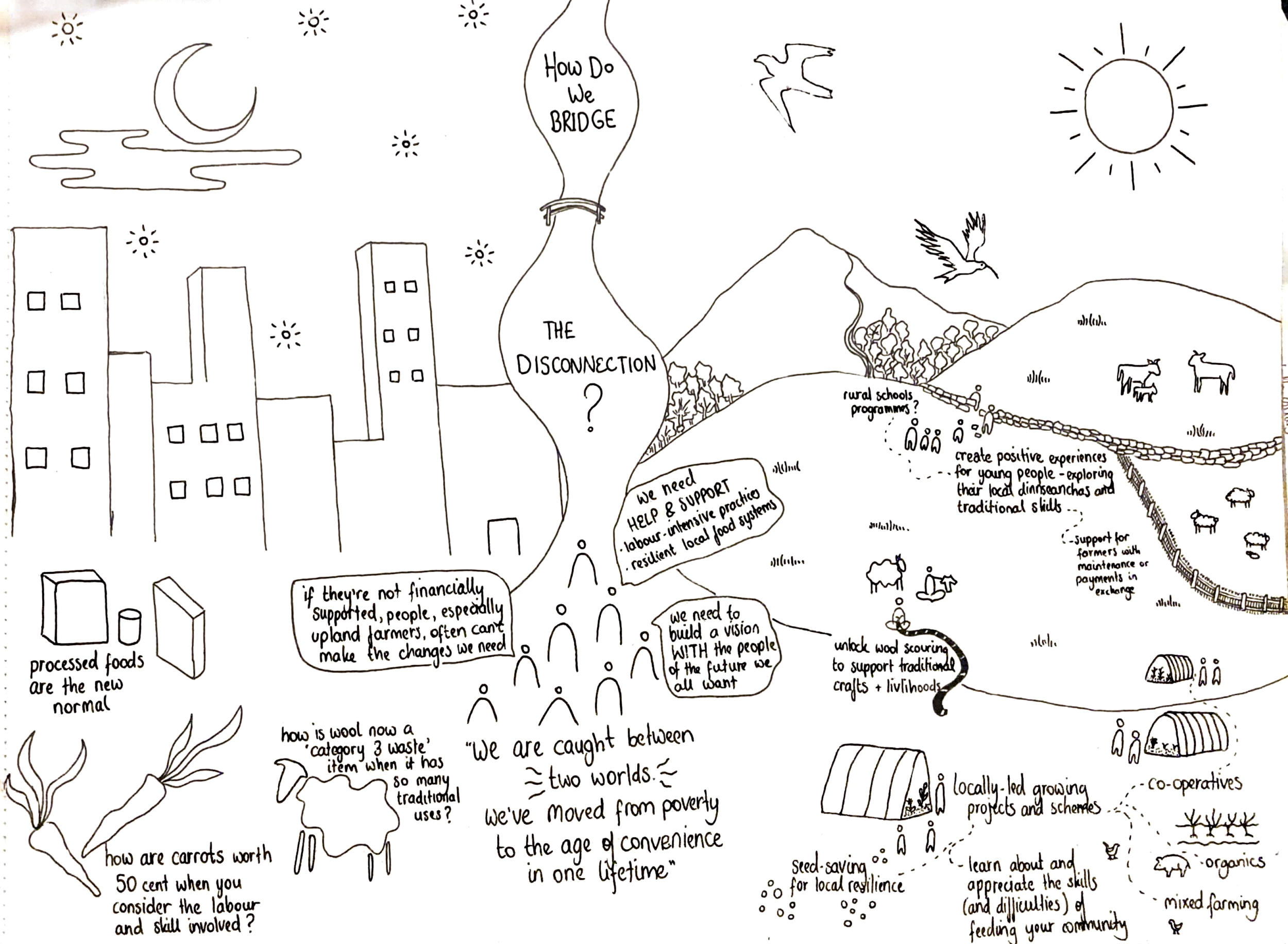 visual scribing from farmer workshop.png