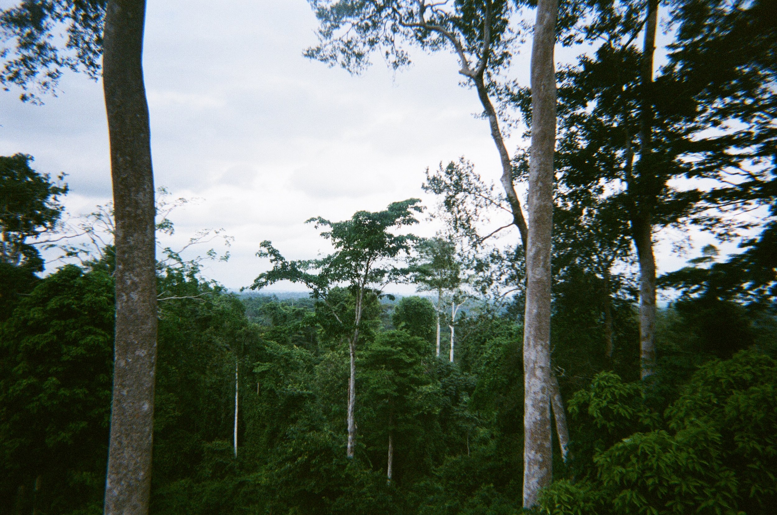 001405420025.jpg