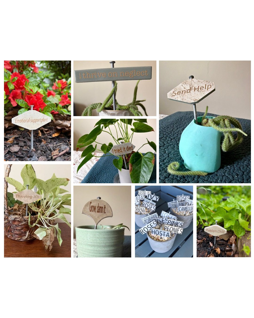 House Plant Signs.jpg