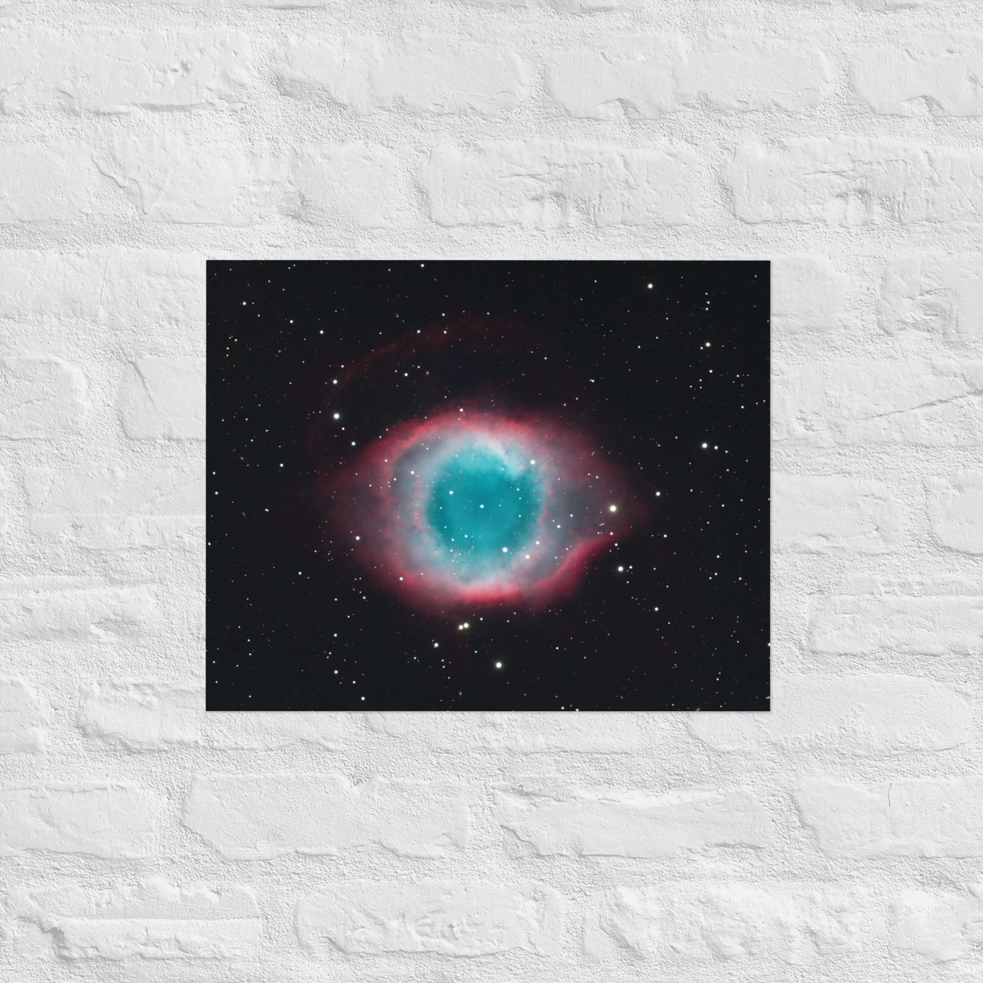 enhanced-matte-paper-poster-(in)-16x20-front-67385e552913d.jpg