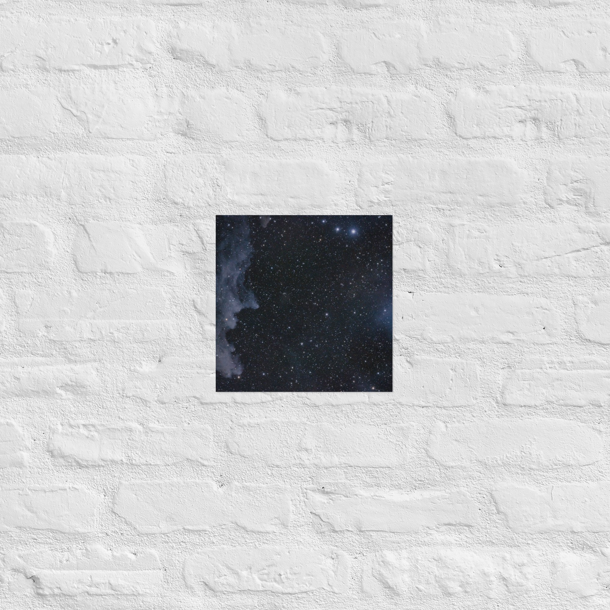 enhanced-matte-paper-poster-(in)-10x10-front-6738669e1441b.jpg