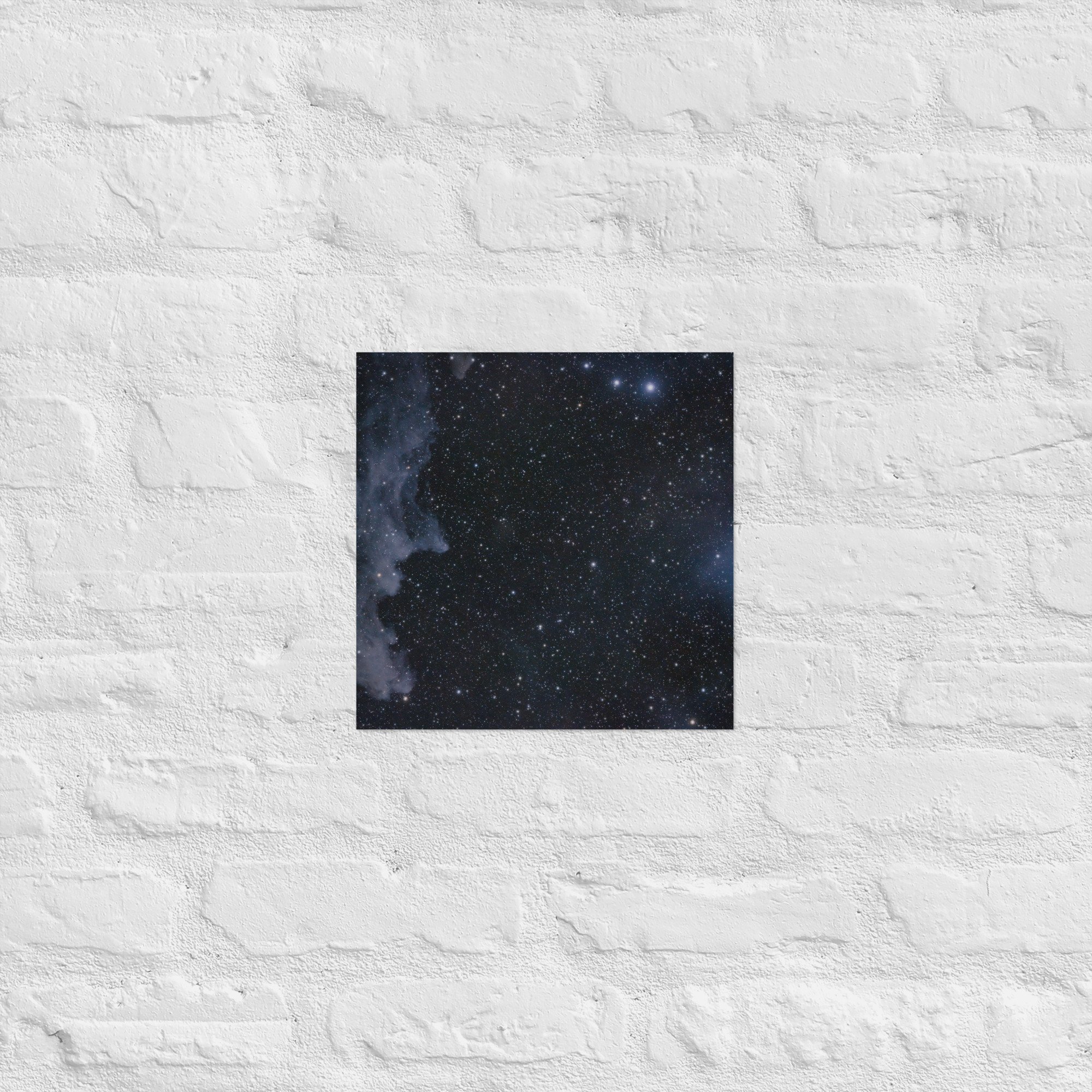 enhanced-matte-paper-poster-(in)-12x12-front-6738669e1456f.jpg