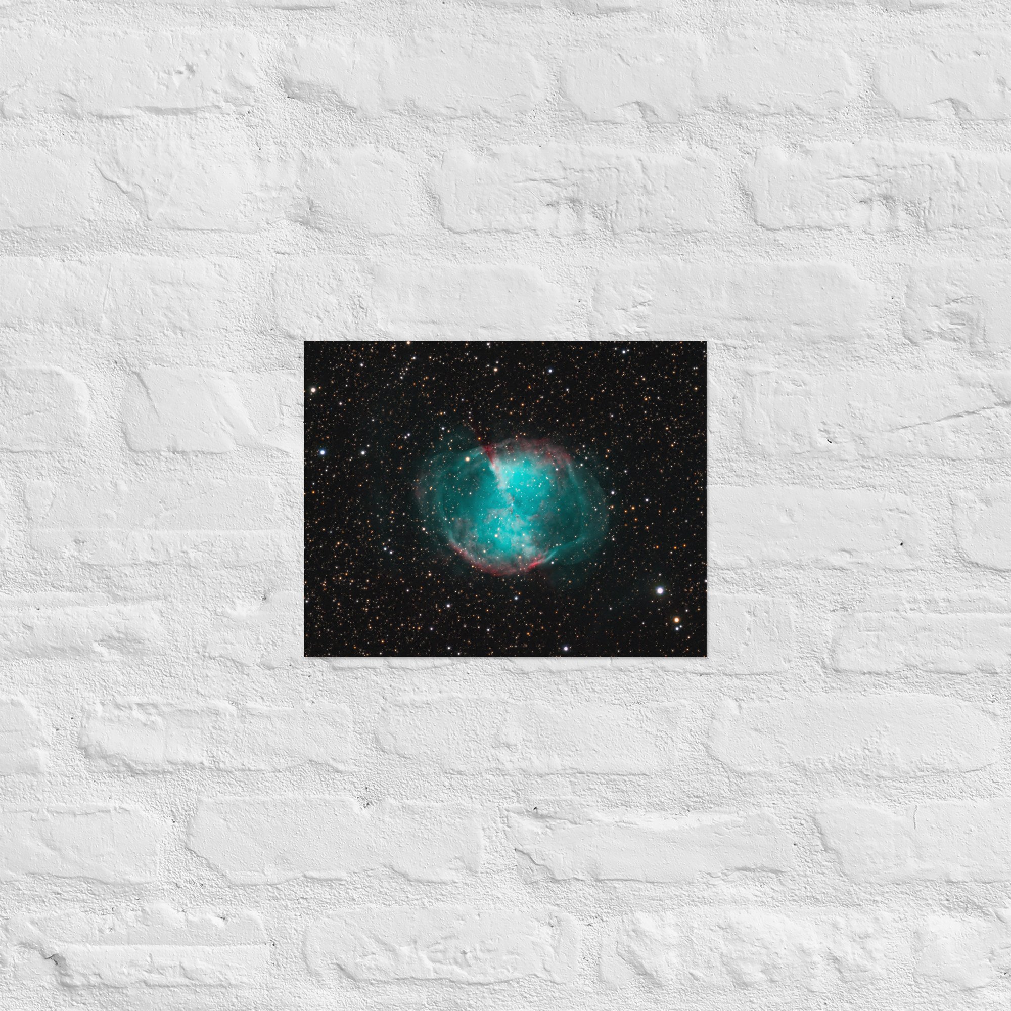 enhanced-matte-paper-poster-(in)-11x14-front-673a7b0c62b10.jpg