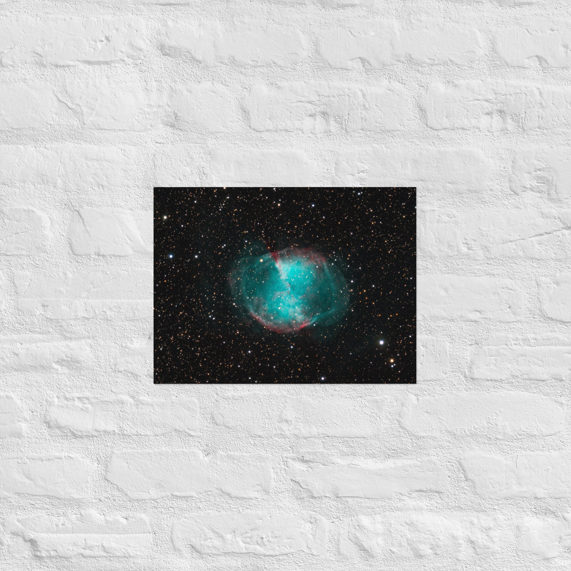 enhanced-matte-paper-poster-(in)-12x16-front-673a7b0c62c39.jpg