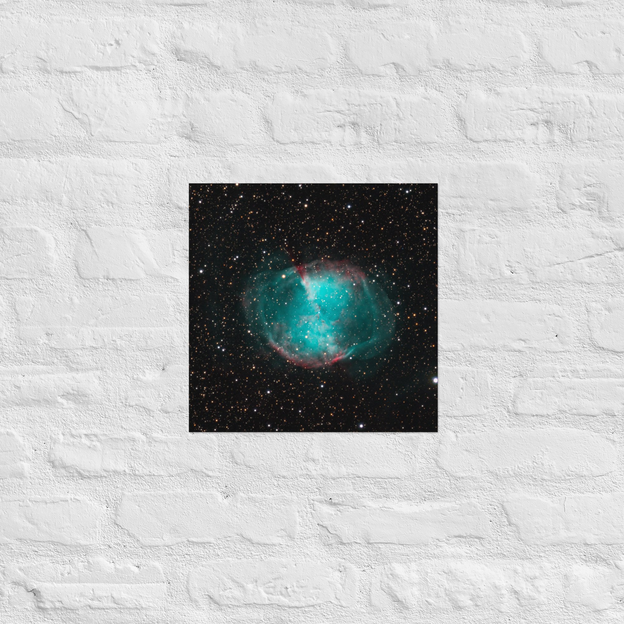 enhanced-matte-paper-poster-(in)-14x14-front-673a7b0c62d60.jpg