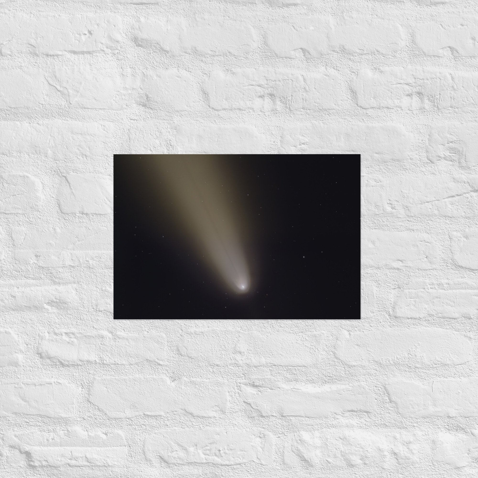 enhanced-matte-paper-poster-(in)-12x18-front-675b84794658a.jpg