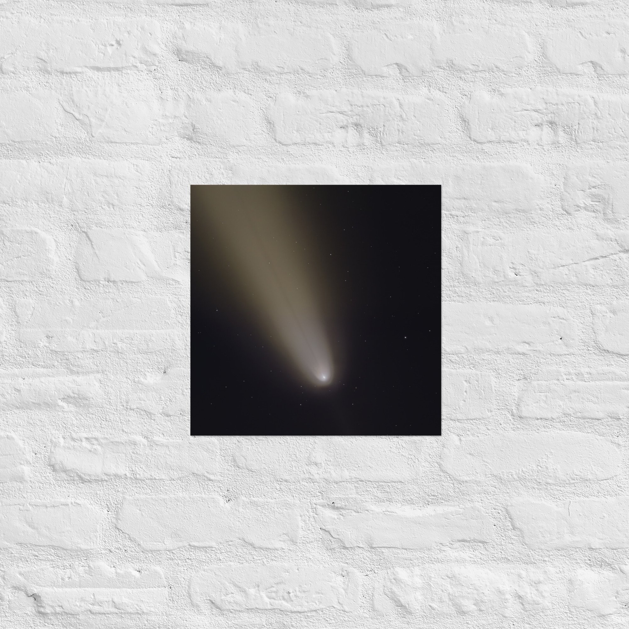 enhanced-matte-paper-poster-(in)-14x14-front-675b84794669f.jpg