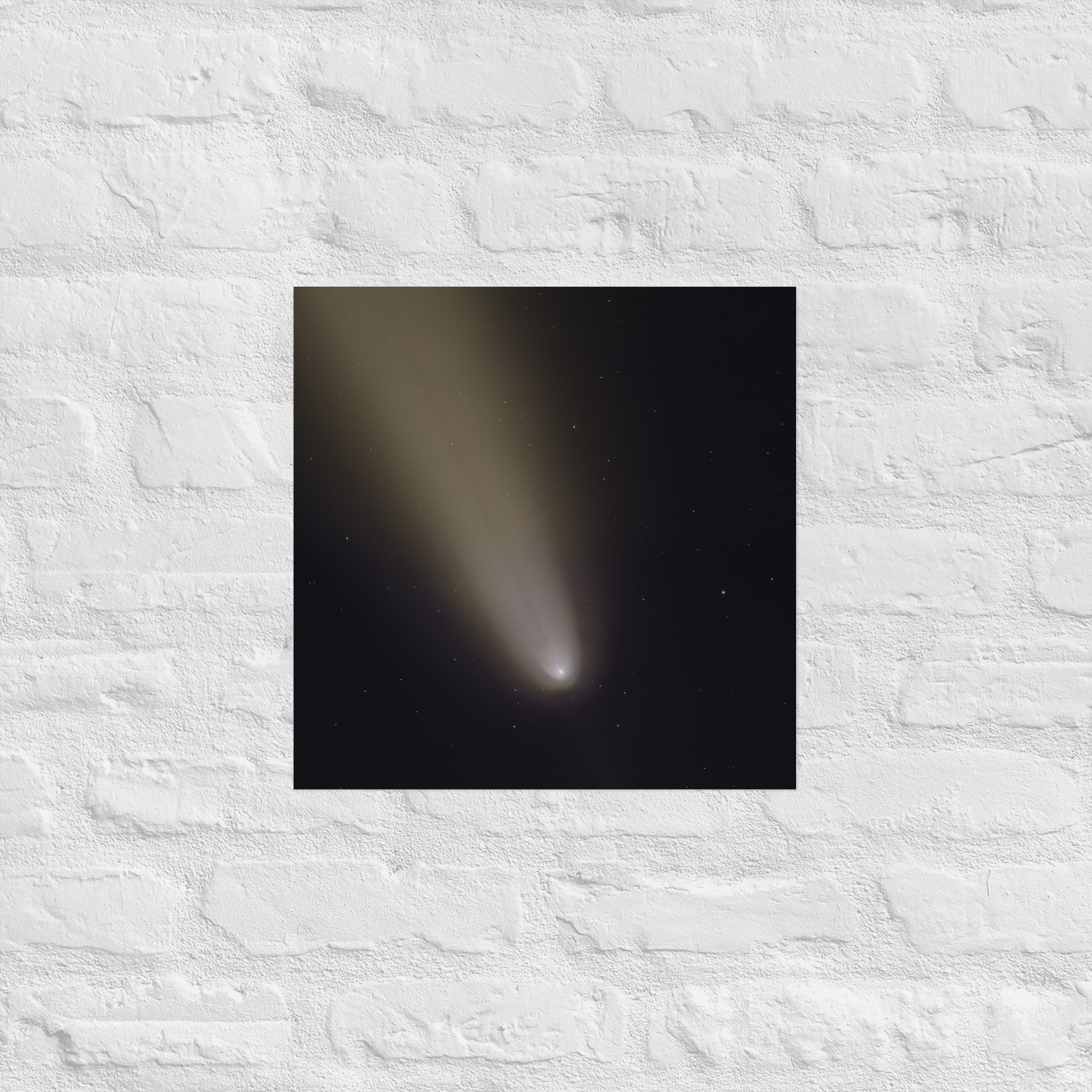 enhanced-matte-paper-poster-(in)-16x16-front-675b8479467ad.jpg