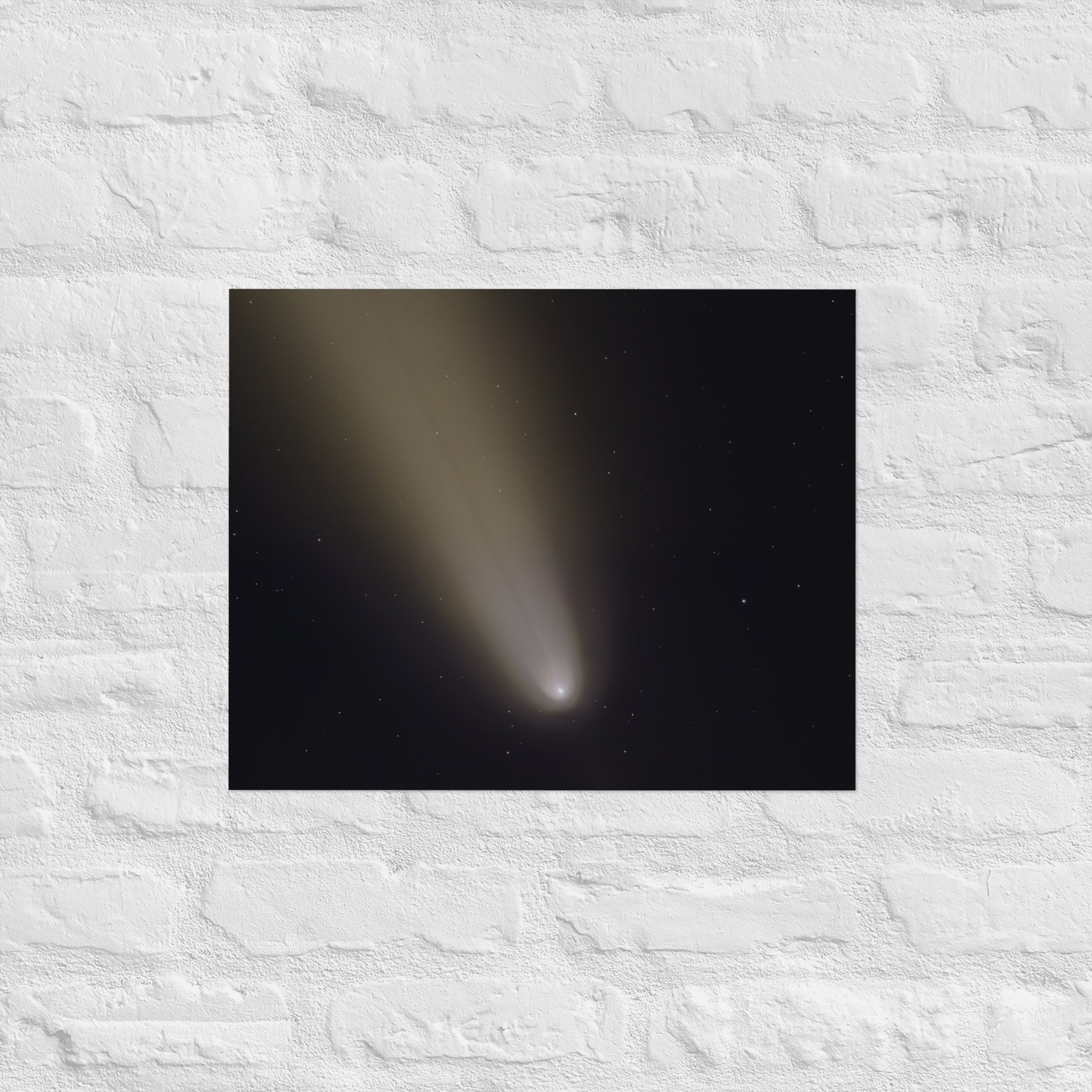 enhanced-matte-paper-poster-(in)-16x20-front-675b8479468c1.jpg