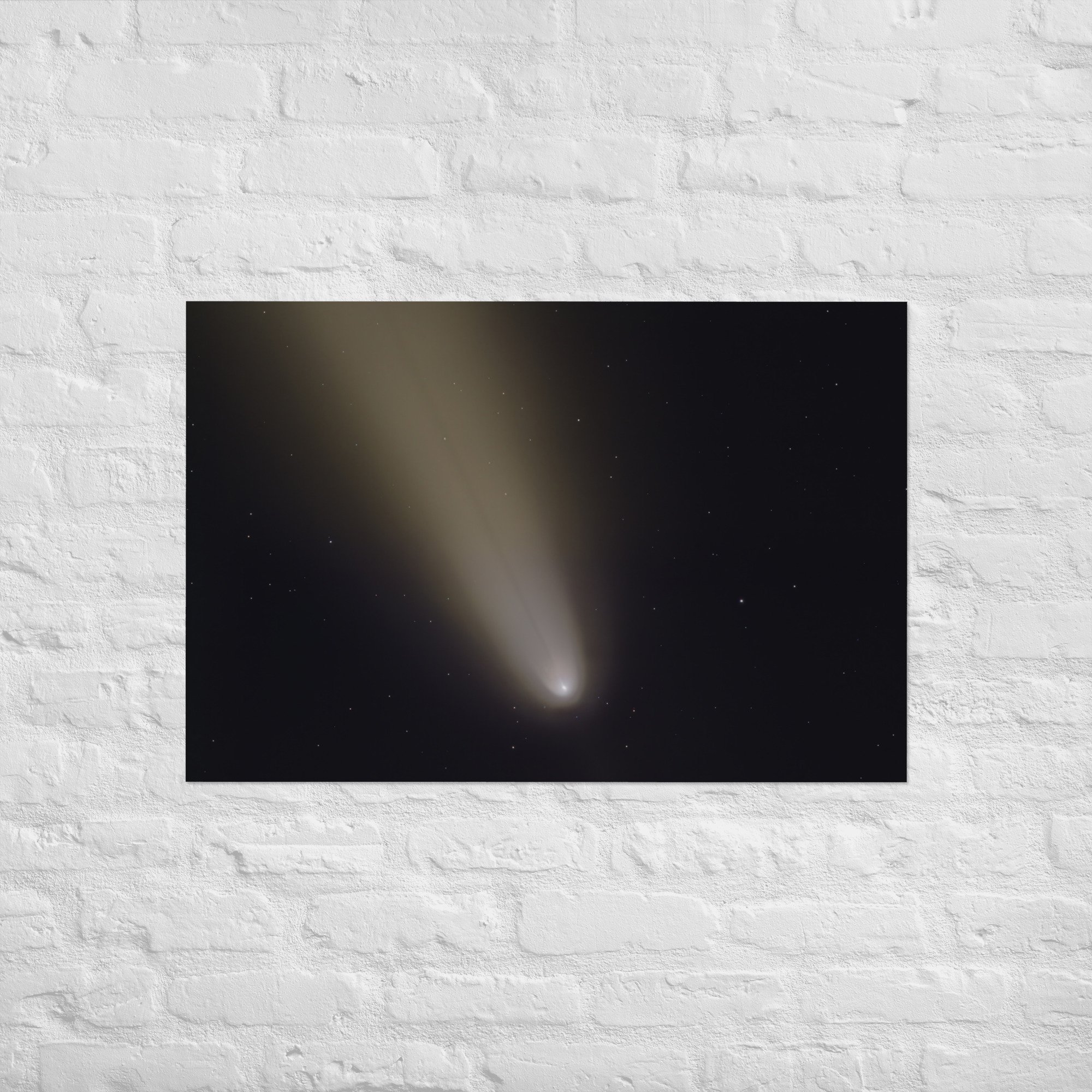 enhanced-matte-paper-poster-(in)-24x36-front-675b847946d0a.jpg