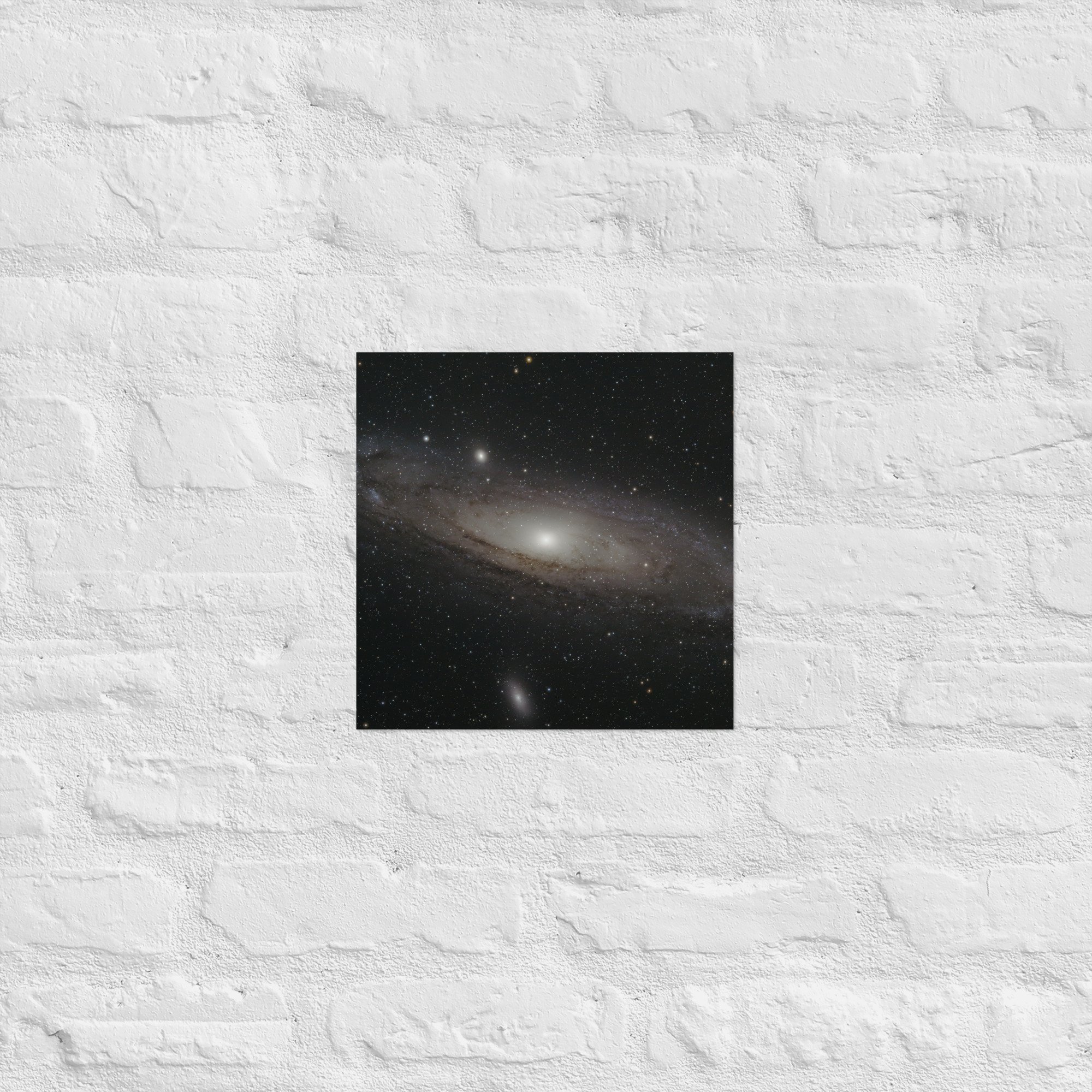enhanced-matte-paper-poster-(in)-12x12-front-675db5303b427.jpg