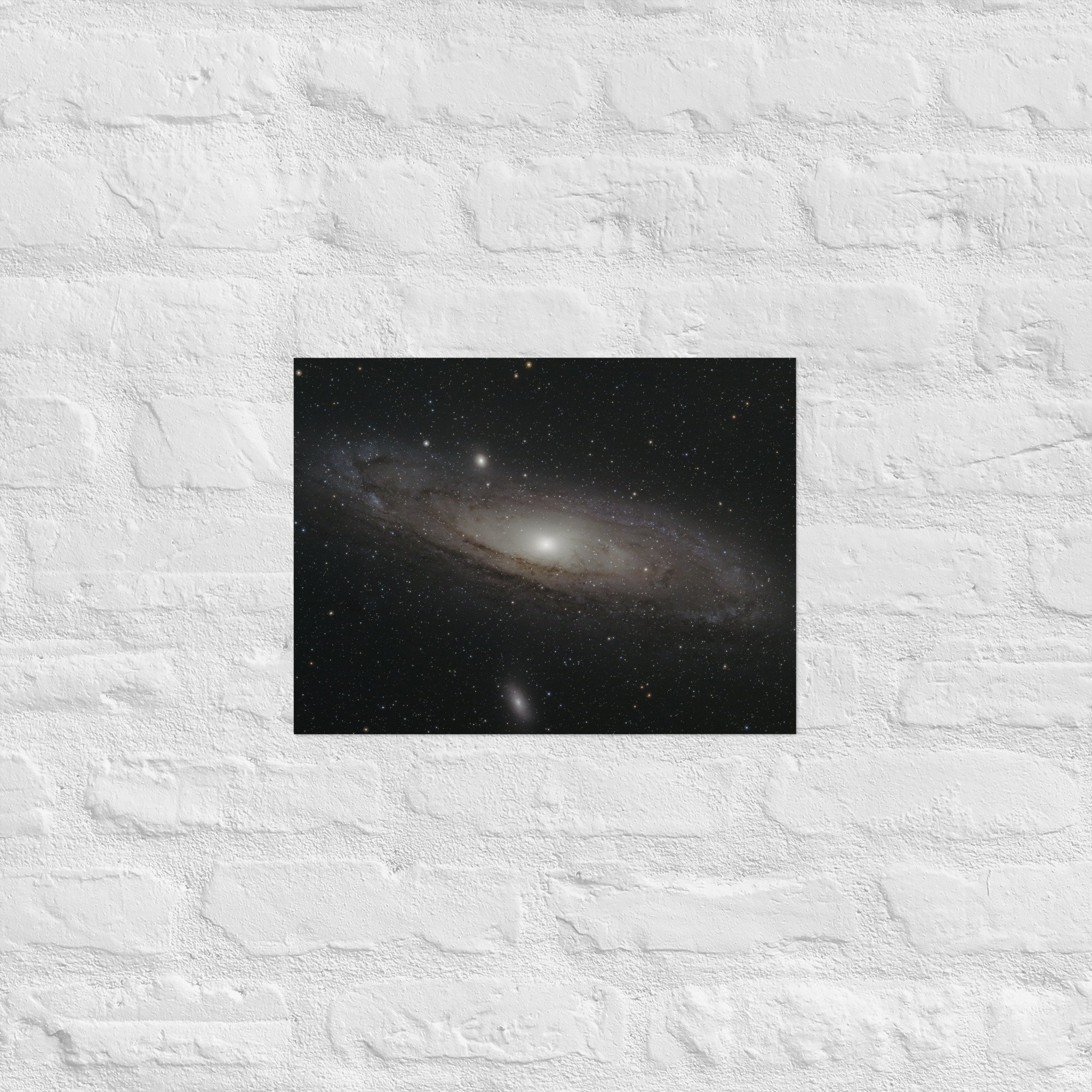 enhanced-matte-paper-poster-(in)-12x16-front-675db5303b4c8.jpg