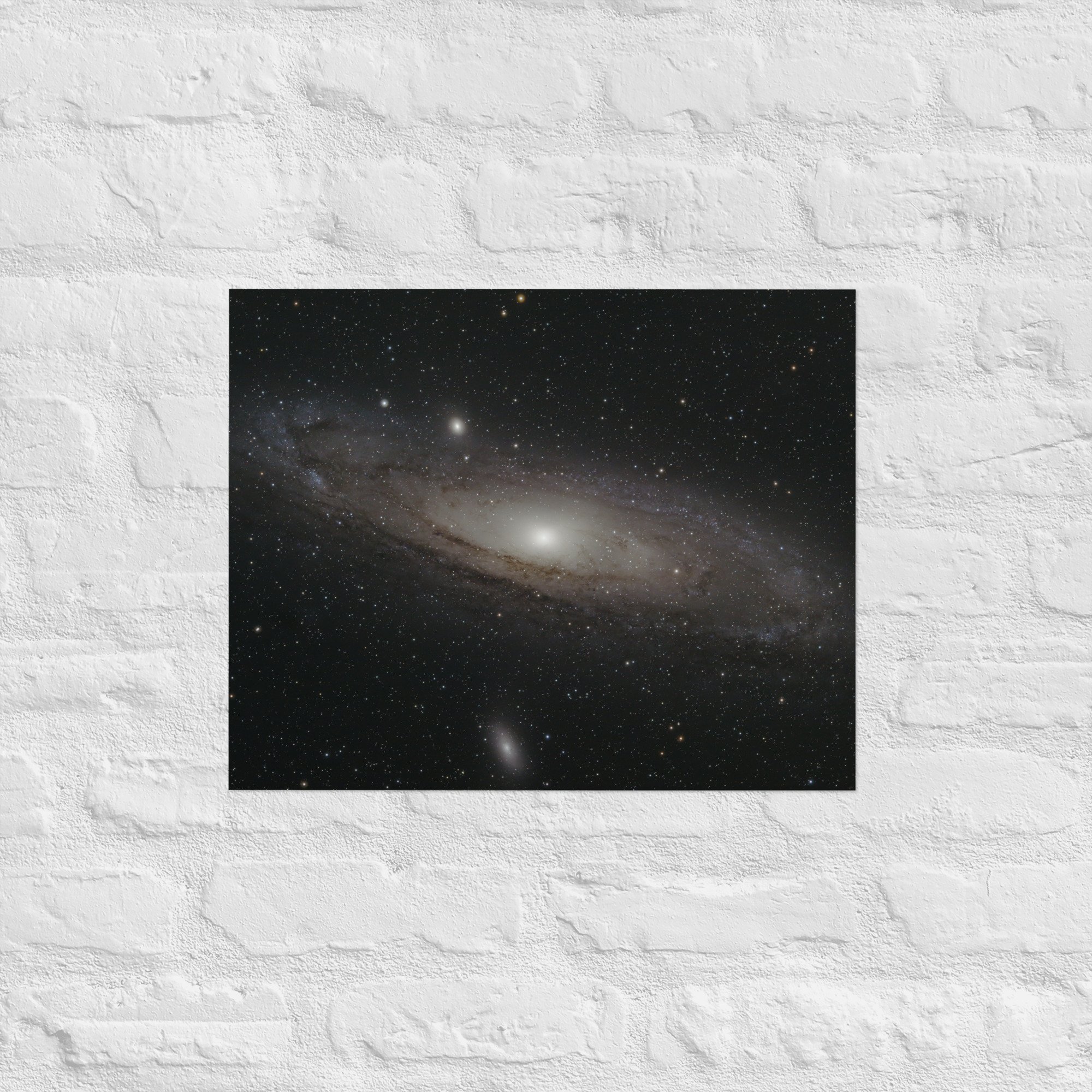 enhanced-matte-paper-poster-(in)-16x20-front-675db5303b730.jpg