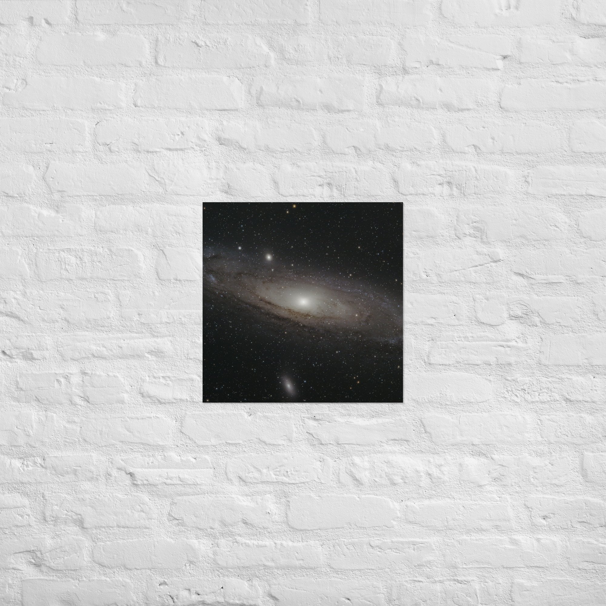 enhanced-matte-paper-poster-(in)-18x18-front-675db5303b7c7.jpg